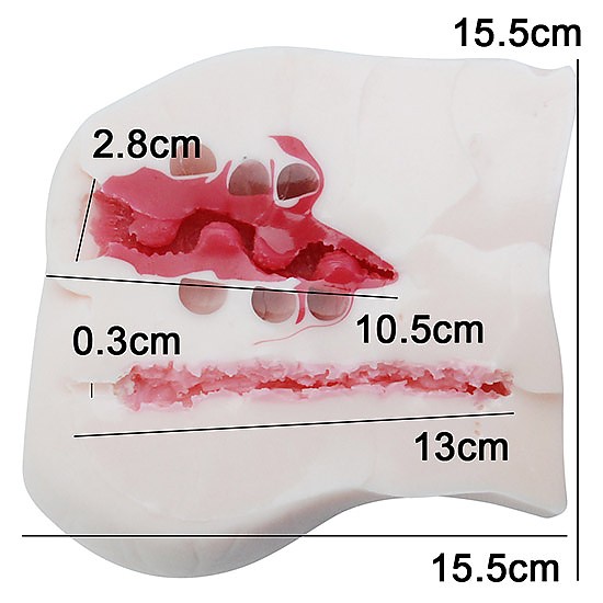 d561c20b09a85c324aed690da22ddc0b_1481696406_2971.jpg