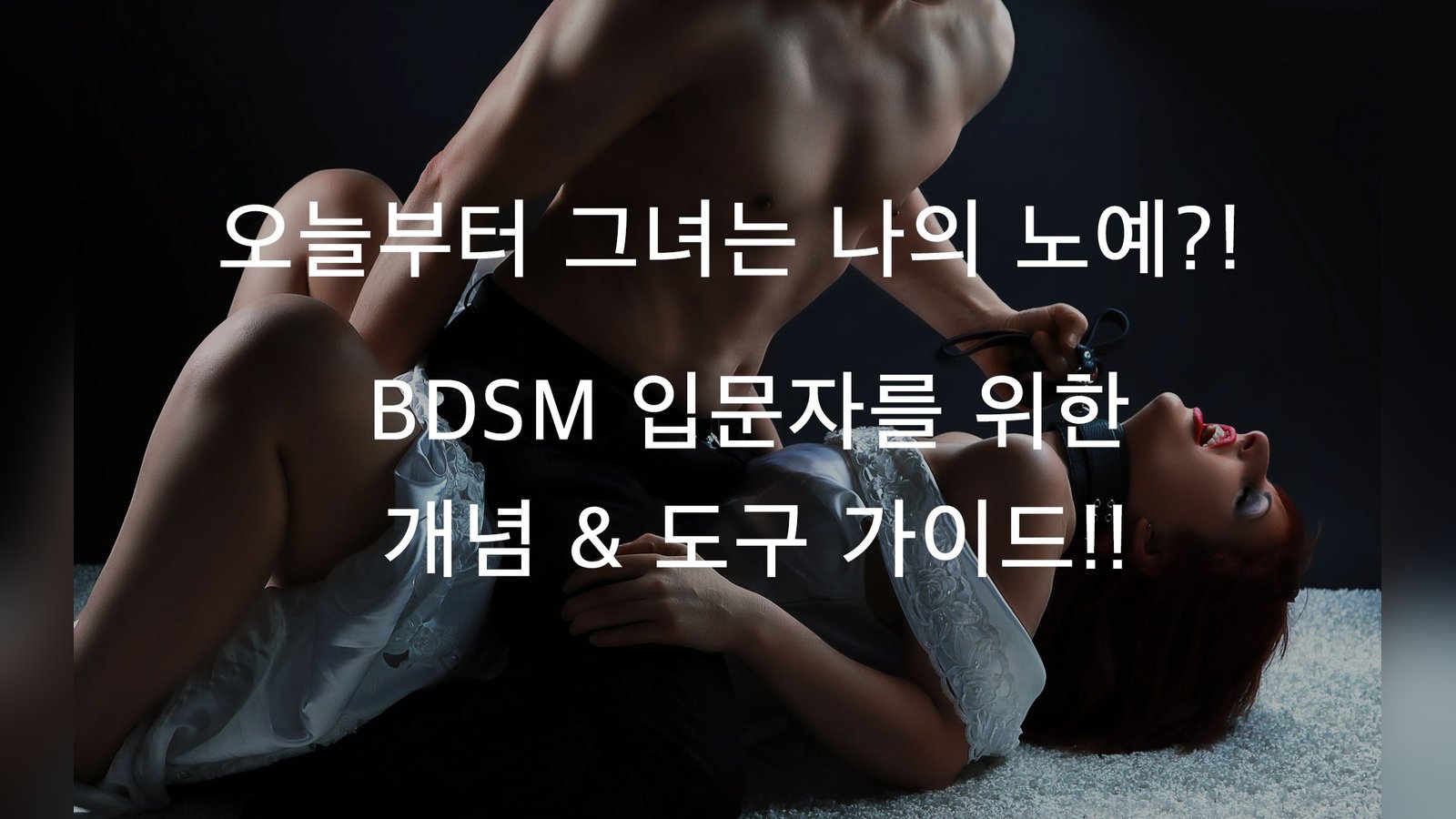 오늘부터 그녀는 나의 노예?! BDSM 입문자를 위한 개념 & 도구 가이드!!