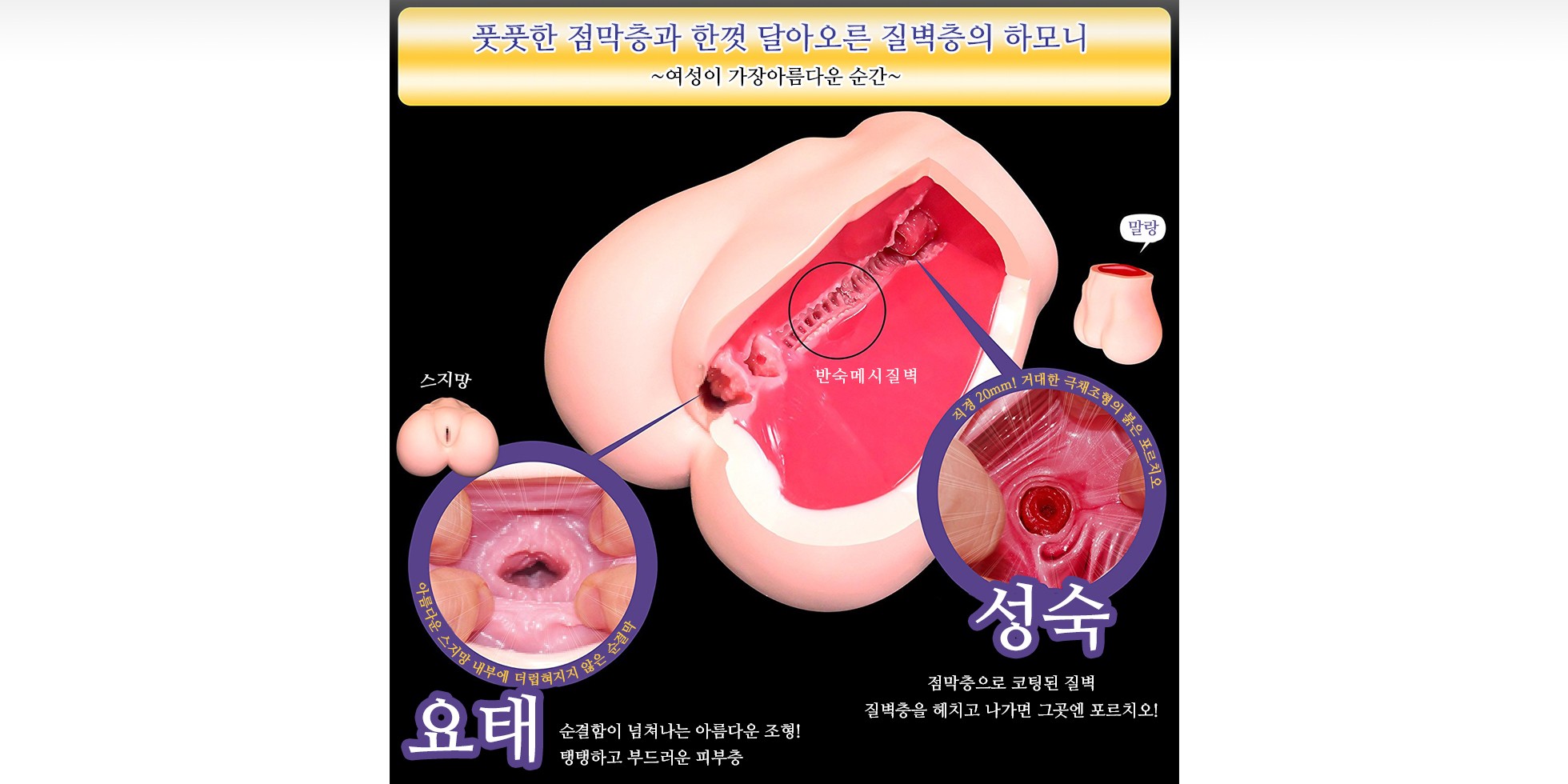 요태성숙 설명