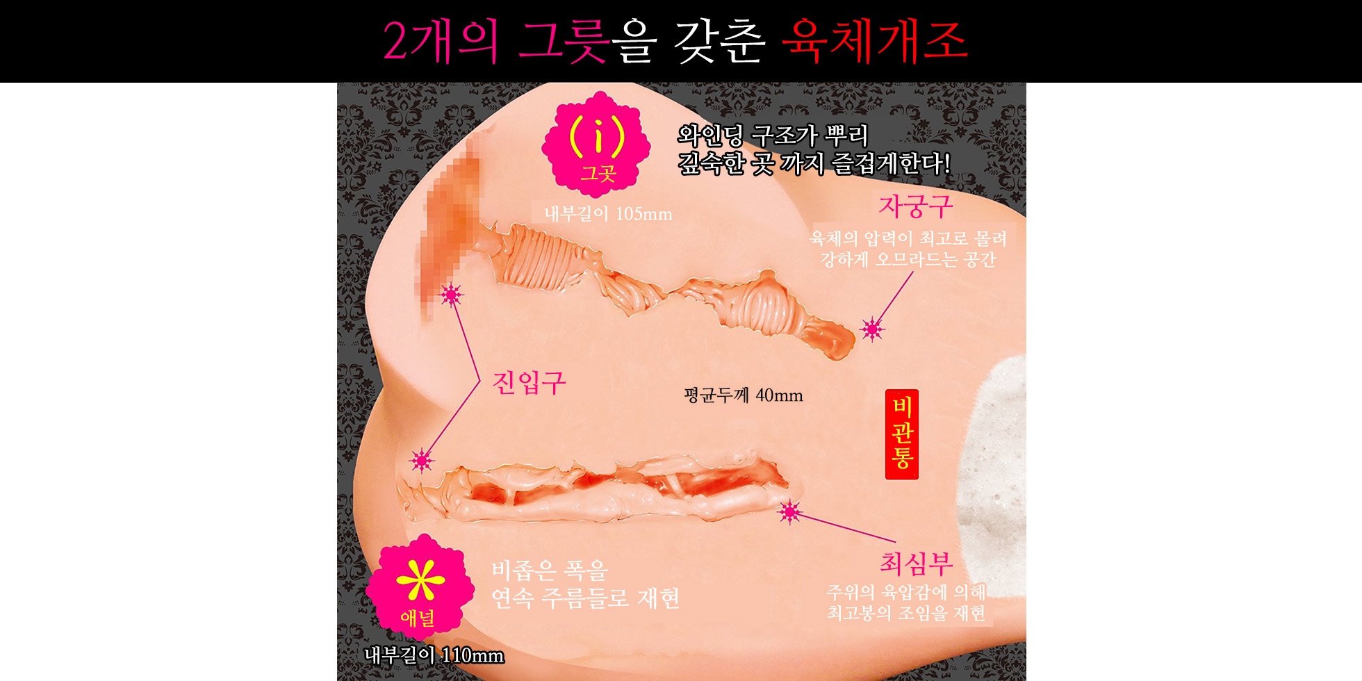 육체관계 설명