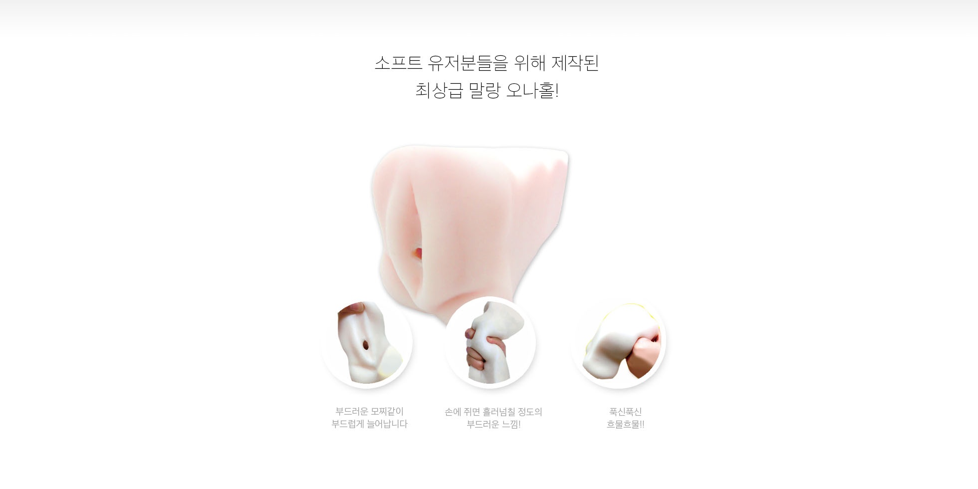 후와치츠 에볼루션 설명