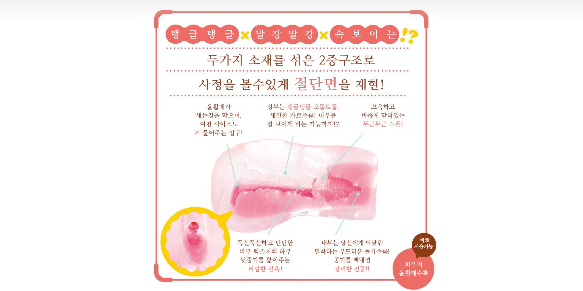 푹신투명 자궁 설명