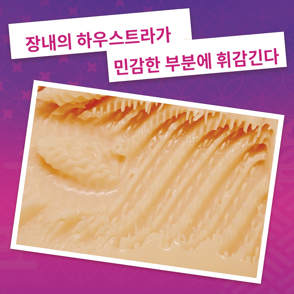텐류지 코토의 애널 설명