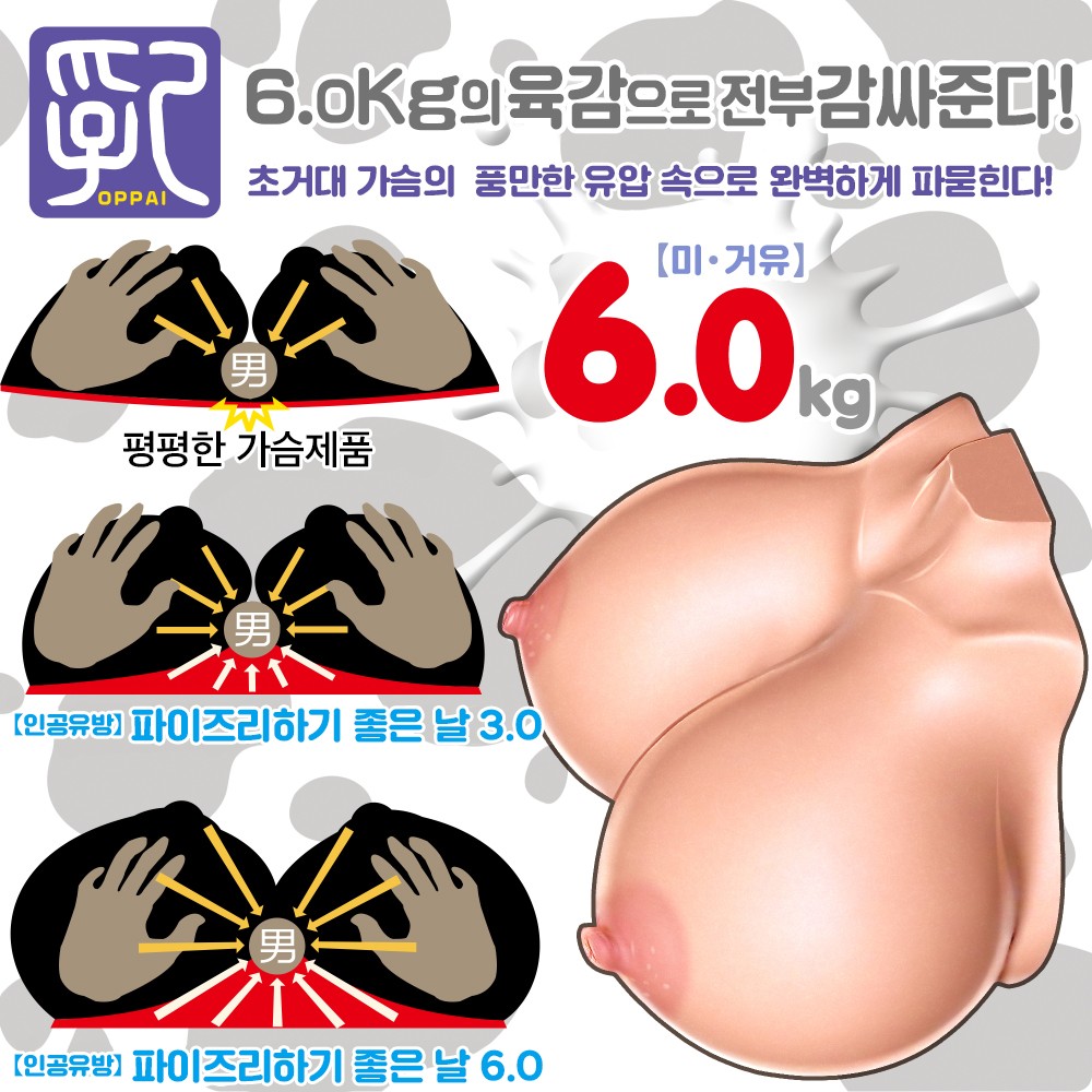 초 파이즈리하기 좋은 날 설명