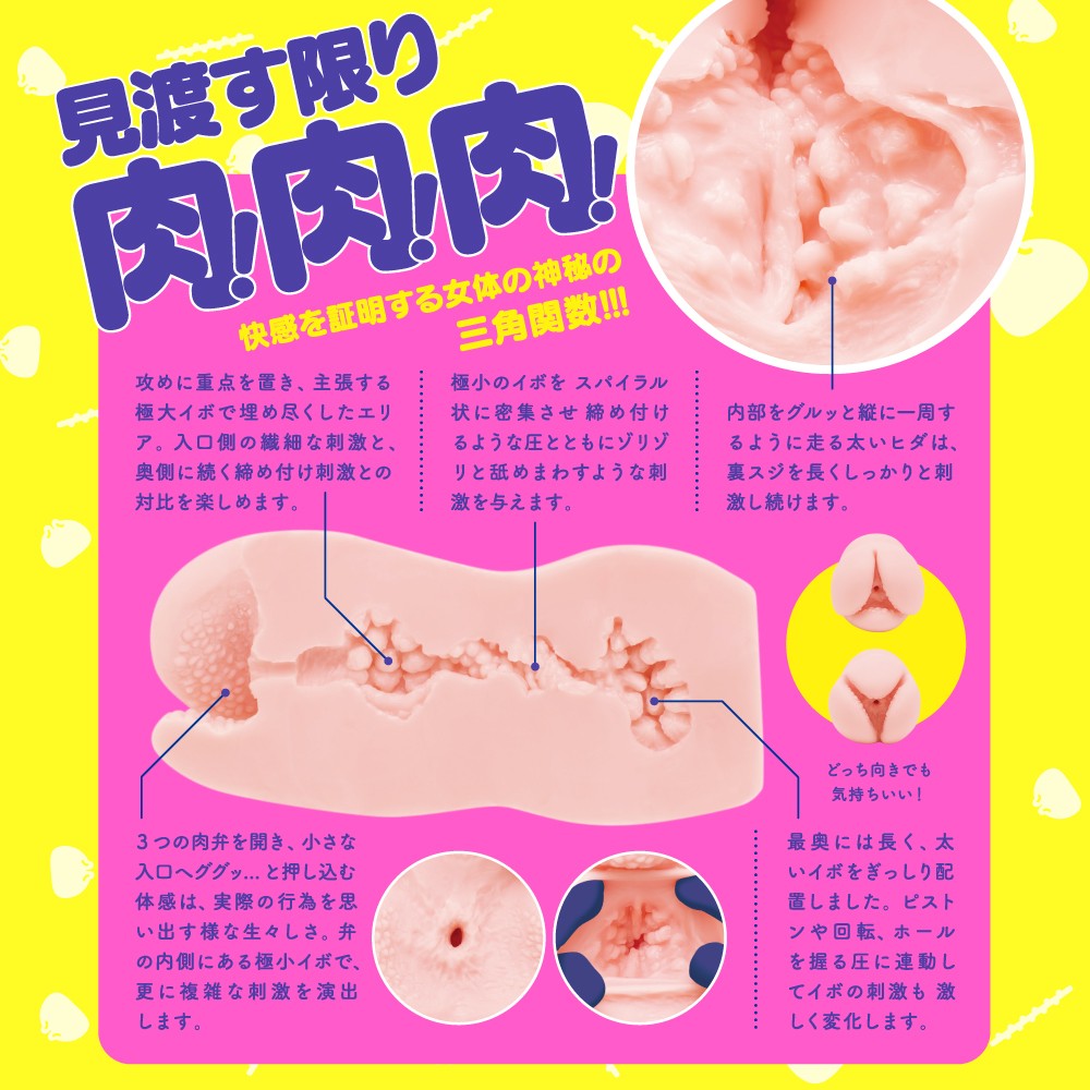 니쿠만 델타 설명
