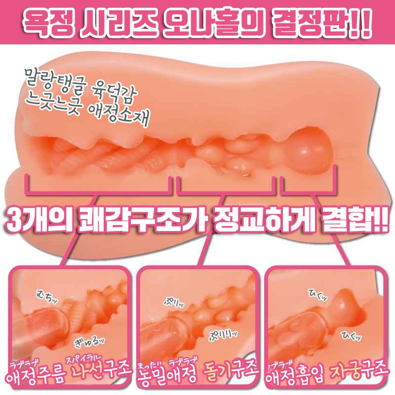전망욕정 설명