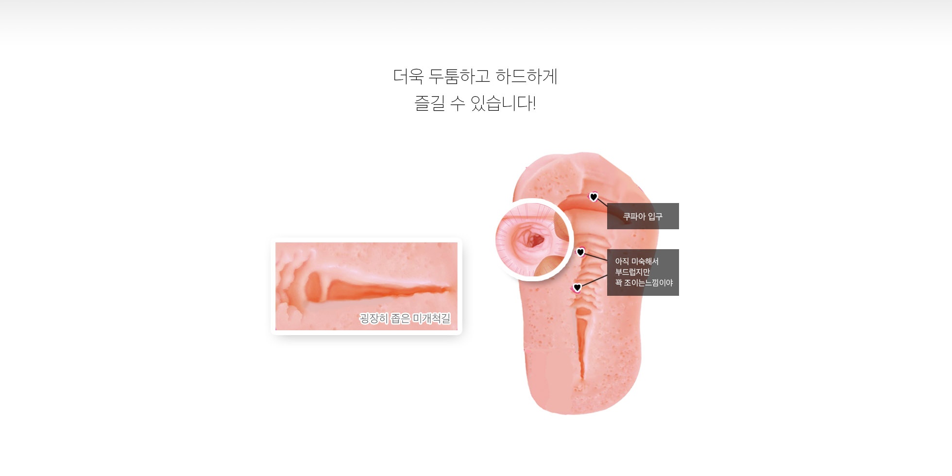 버진에이지 입학 하드 설명