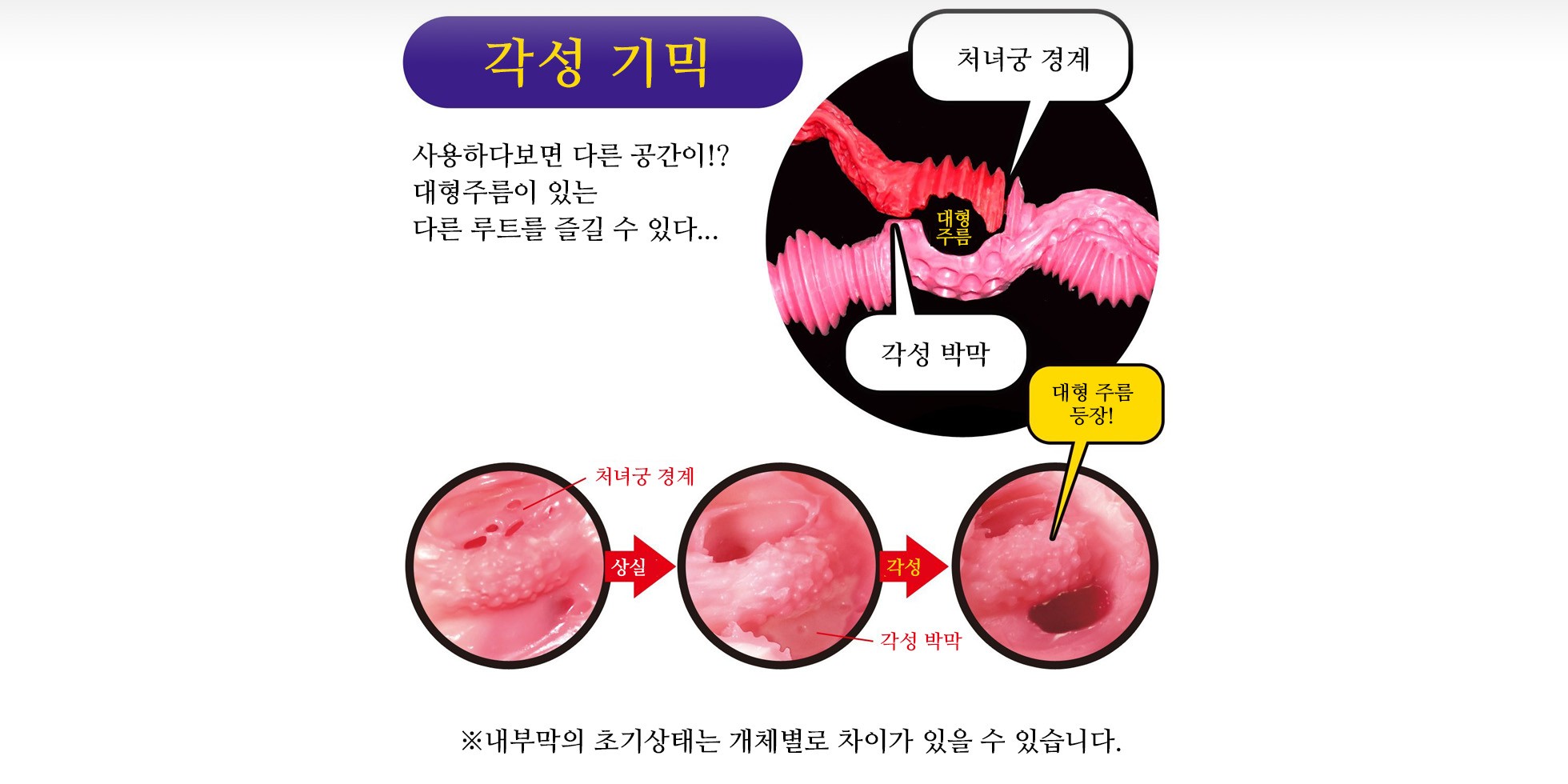 라비앙로즈 소프트 설명
