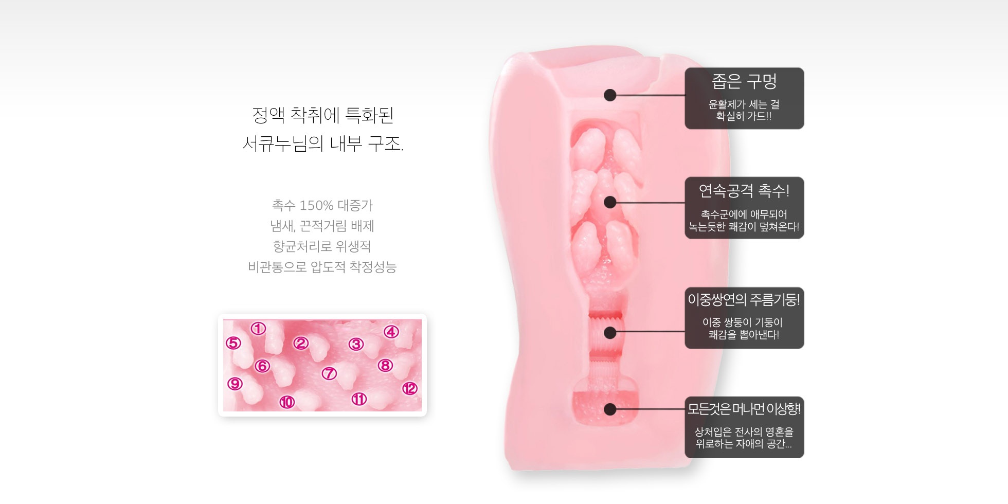 반숙 서큐누님 좁은구멍 설명
