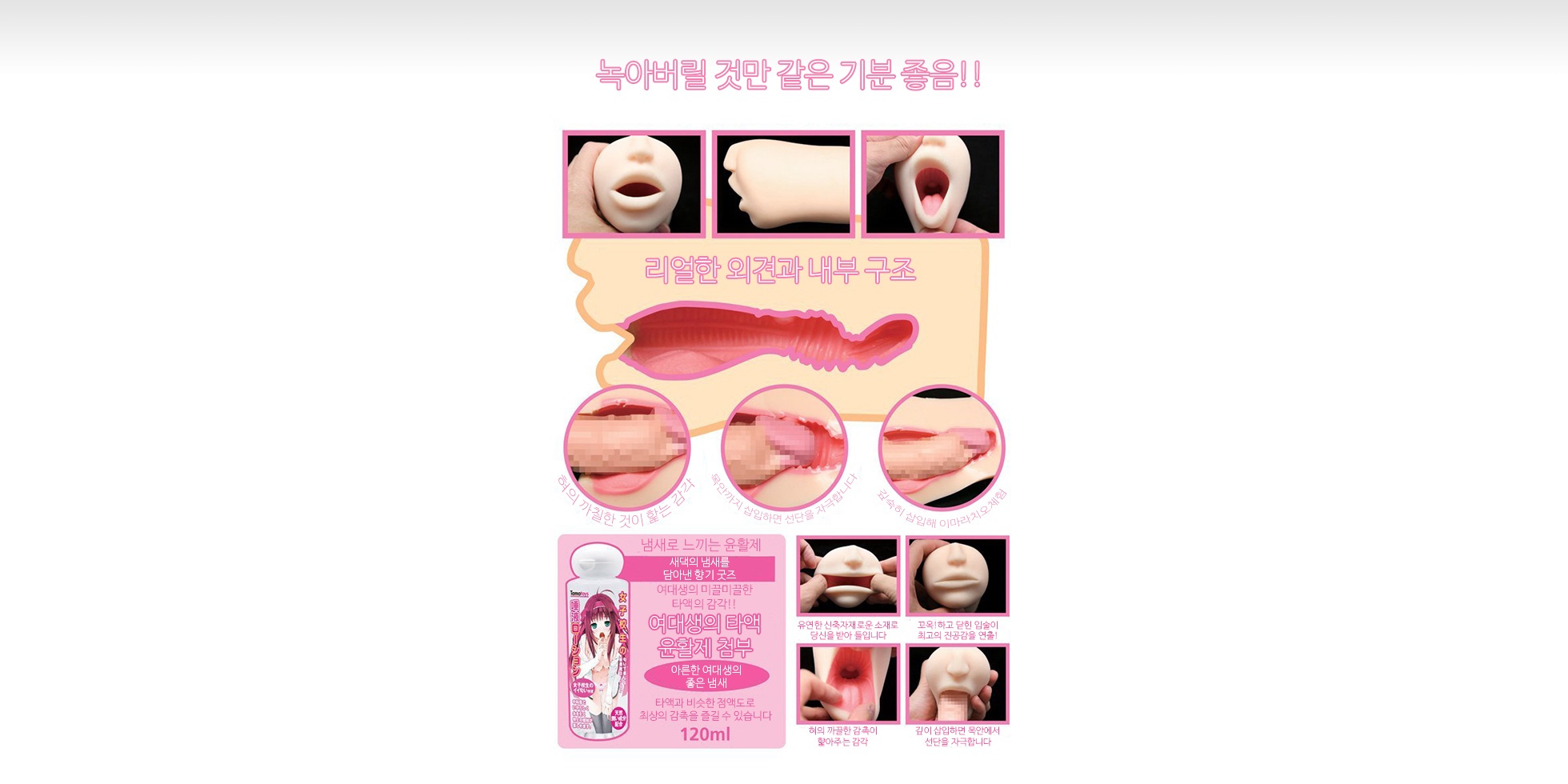 여대생의 펠라치오 홀 설명