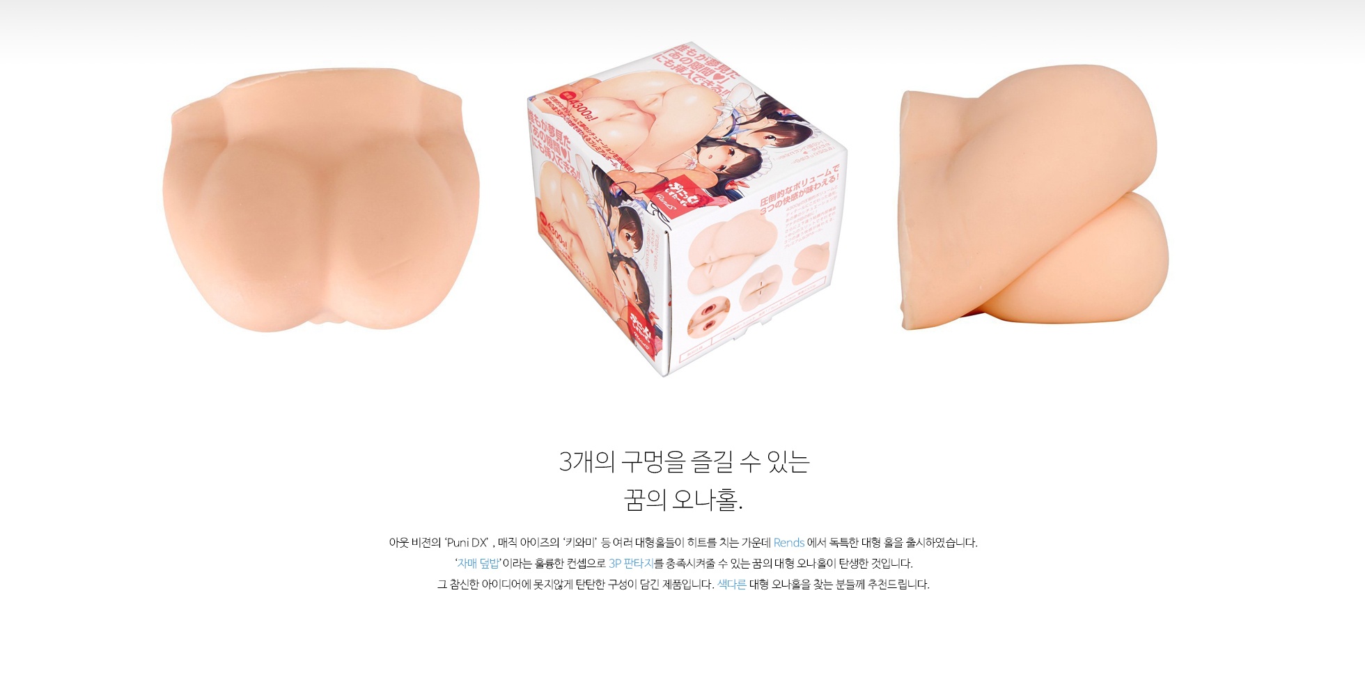 자매덮밥 설명