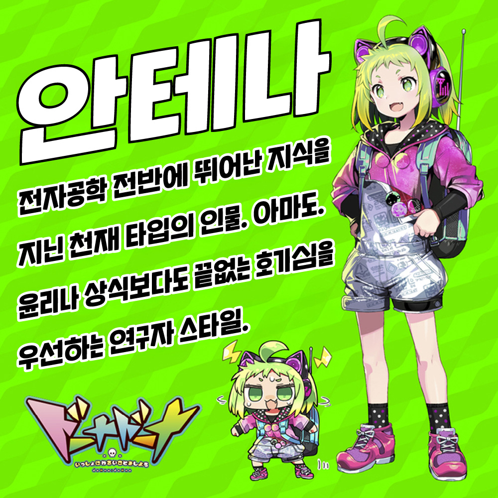 도나도나 - 안테나 THE HOLE 프리미엄 수량한정판 설명