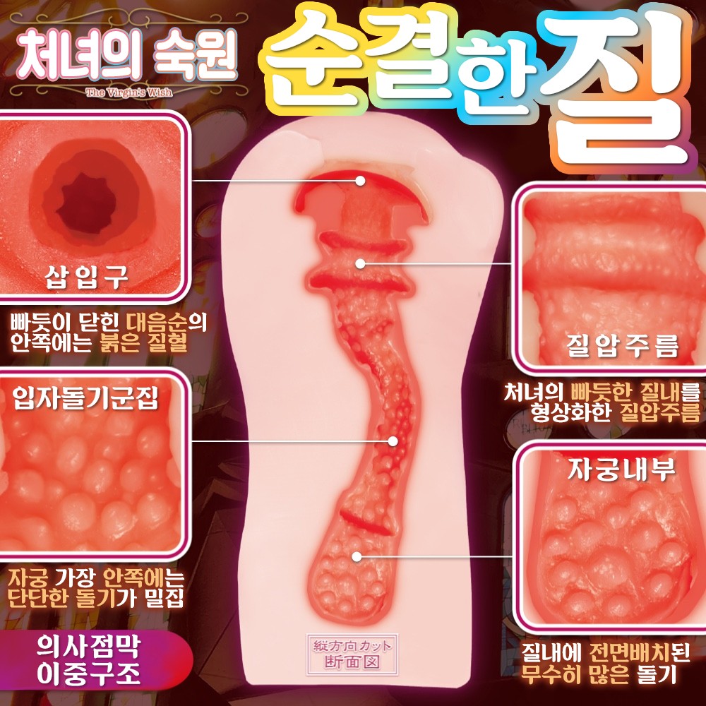 처녀의 숙원 설명