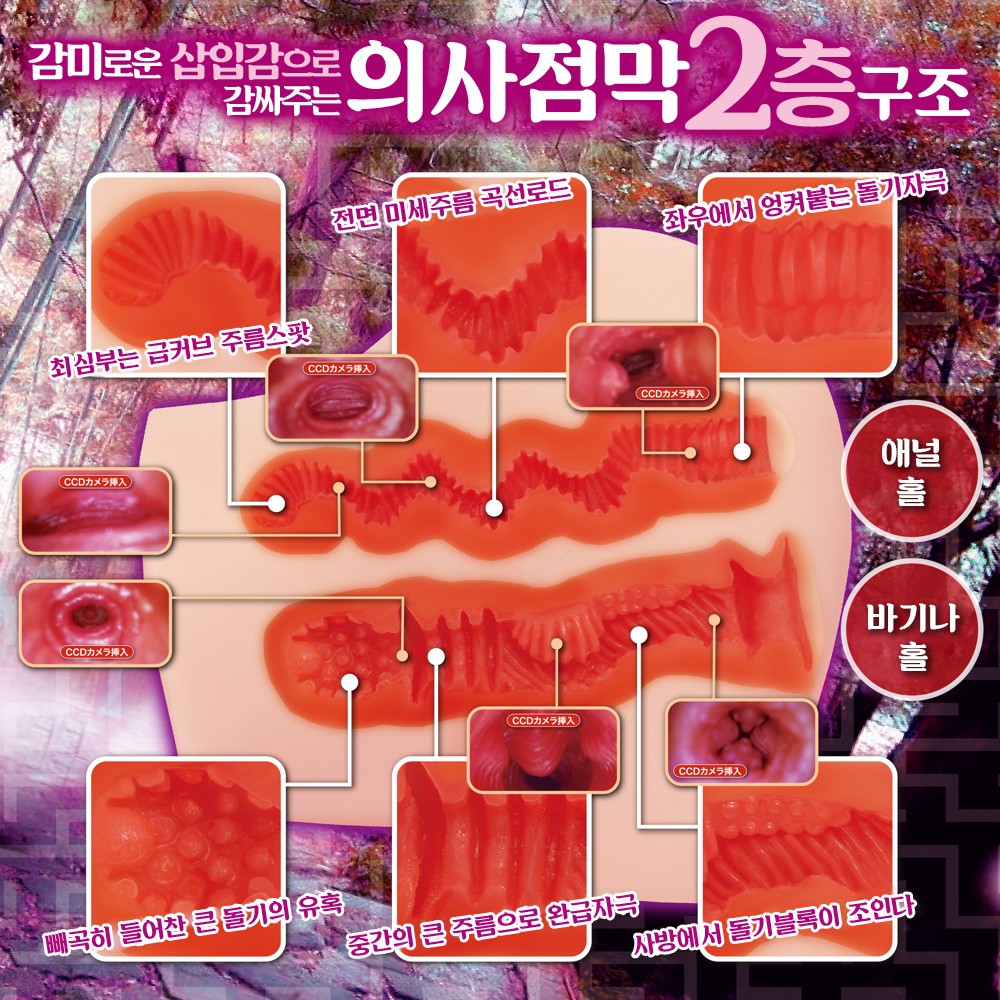 유혹 라비린스 설명