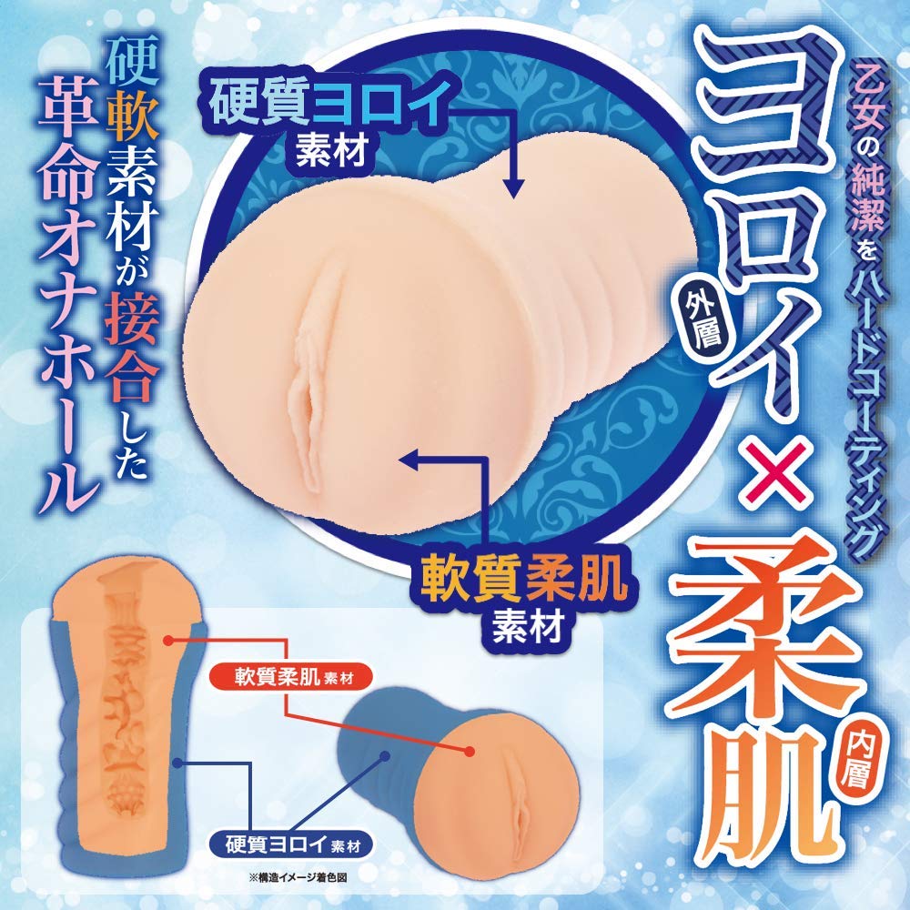 갑옷처녀 오토메일 - 백은기사 잔 다르크 설명