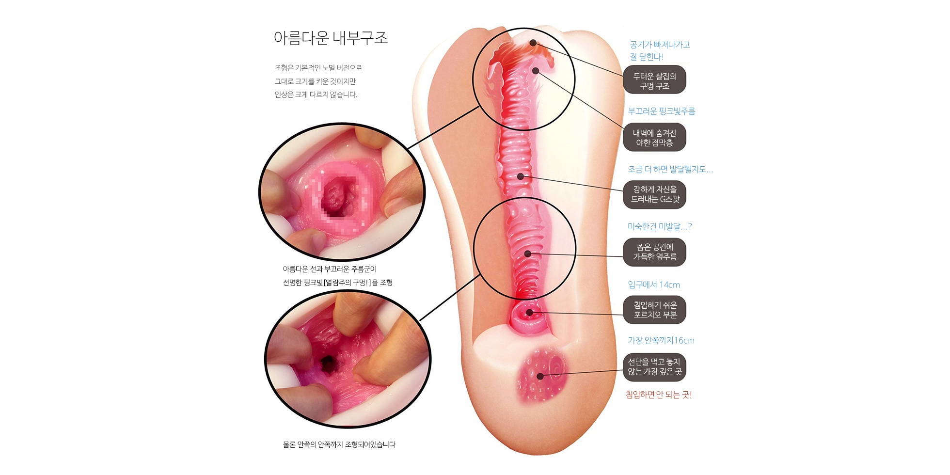 스지망쿠파! 리나 빅 설명