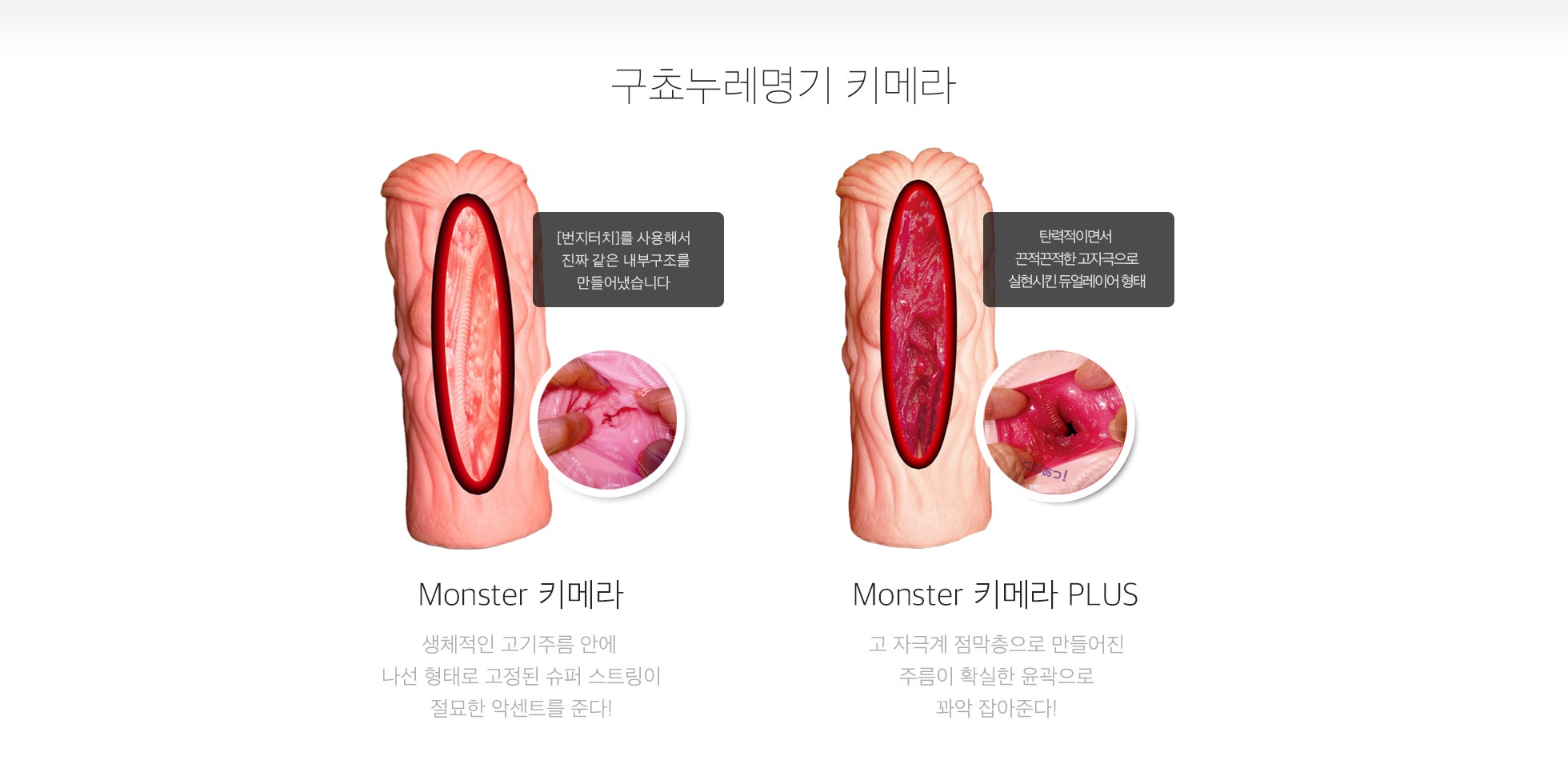 젖은명기 몬스터 키메라 플러스 설명