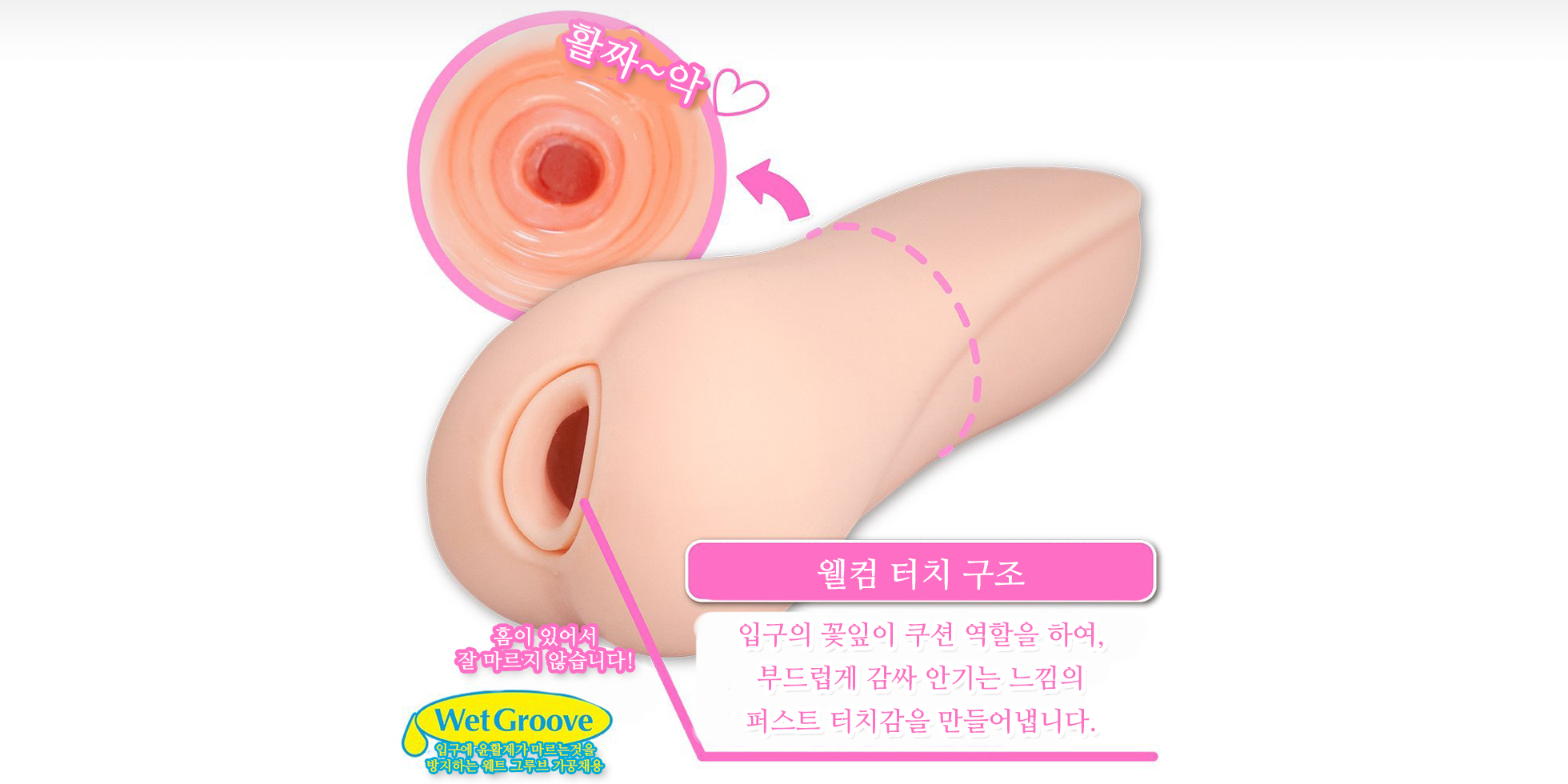 발정 버스가이드 설명