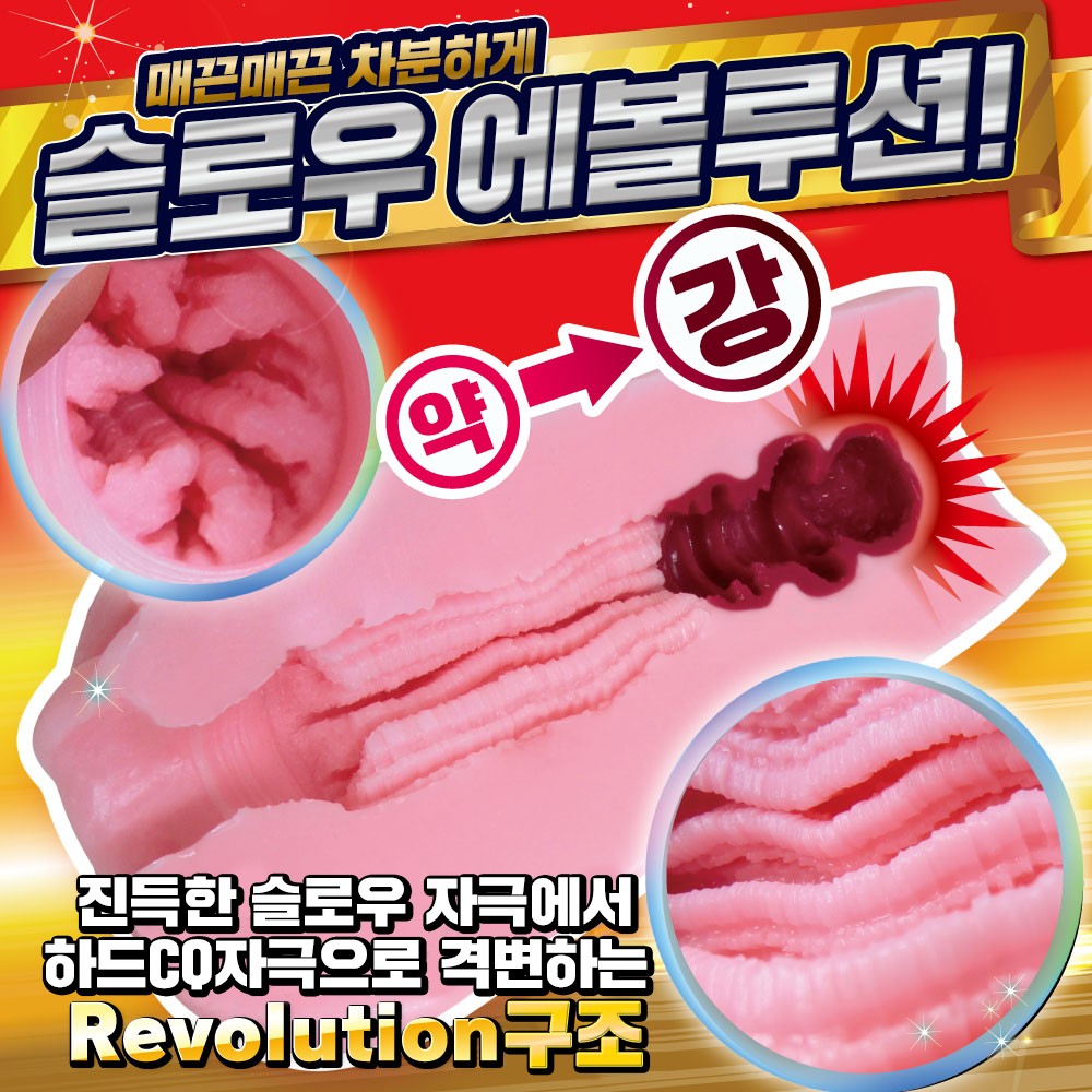 격변 슬로우 레볼루션 설명