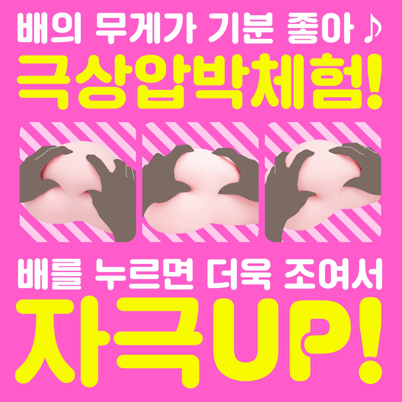 보테바라 DX 설명