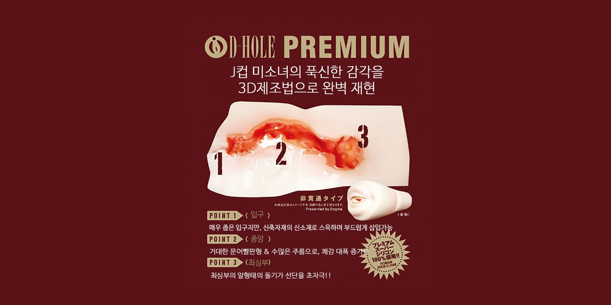 니시나 모모카 D-HOLE 설명