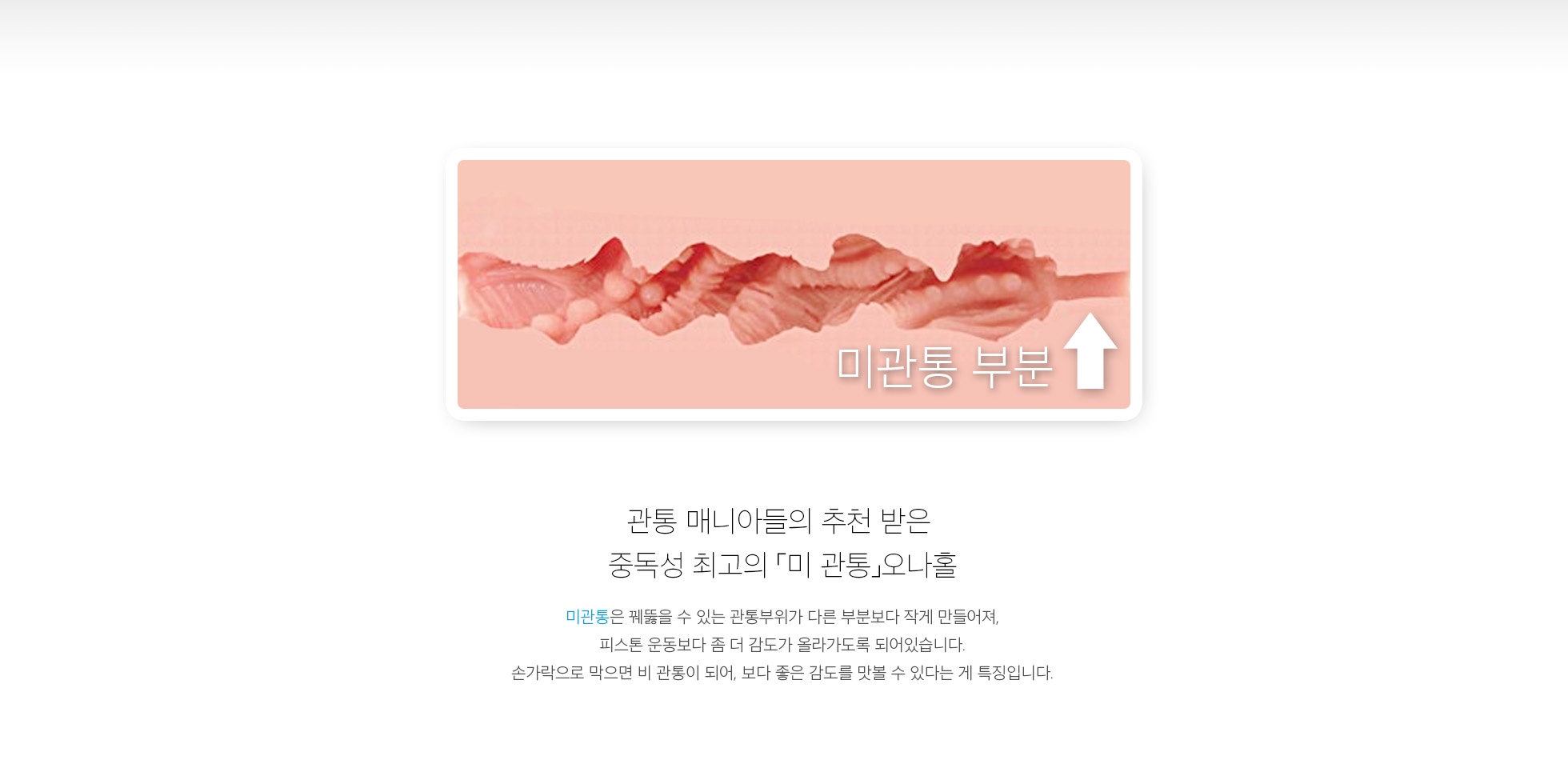 질 주름 로린코 설명