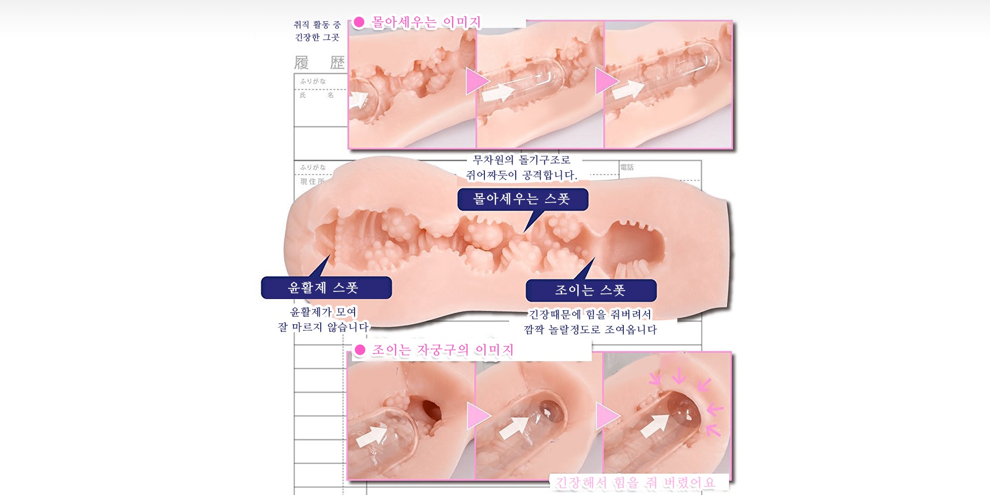 캠퍼스 라이프 취직활동 설명