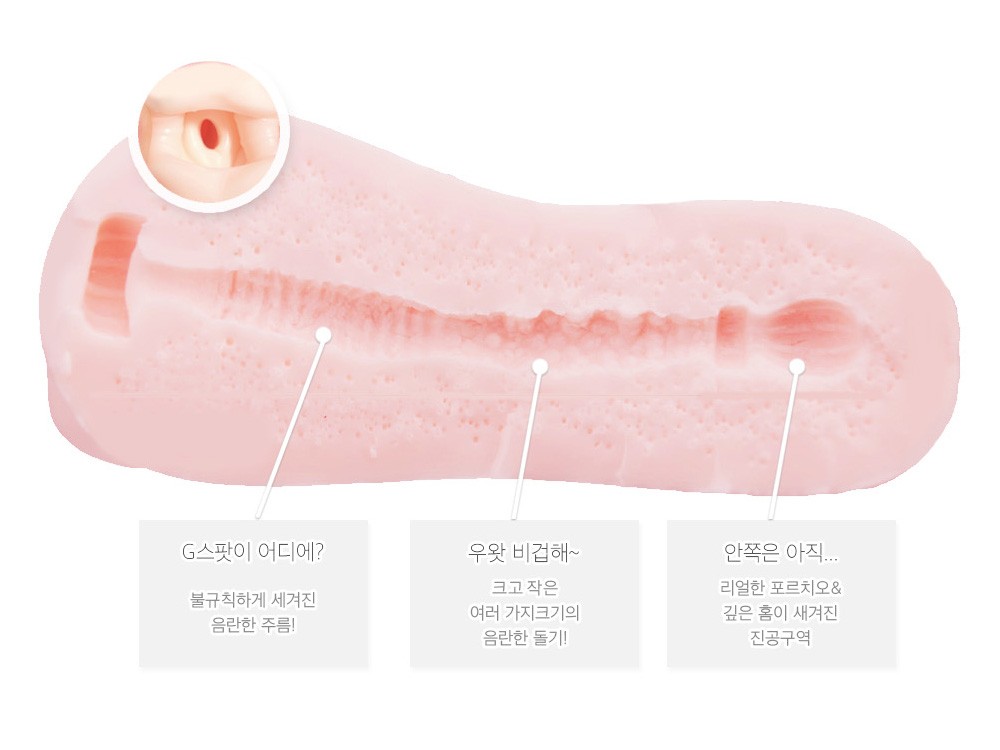 나의 학생 좁은 구멍속에 감춰진
알찬 내부구조!