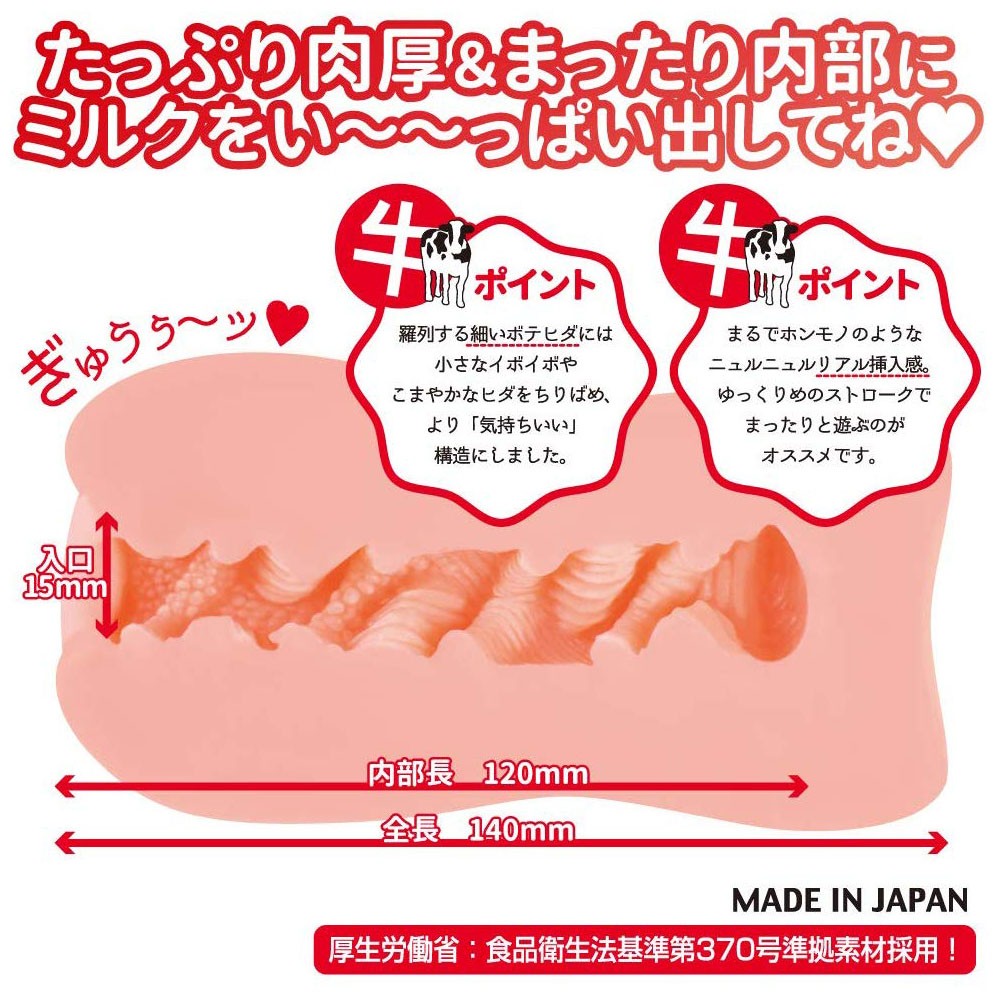 카우걸 설명