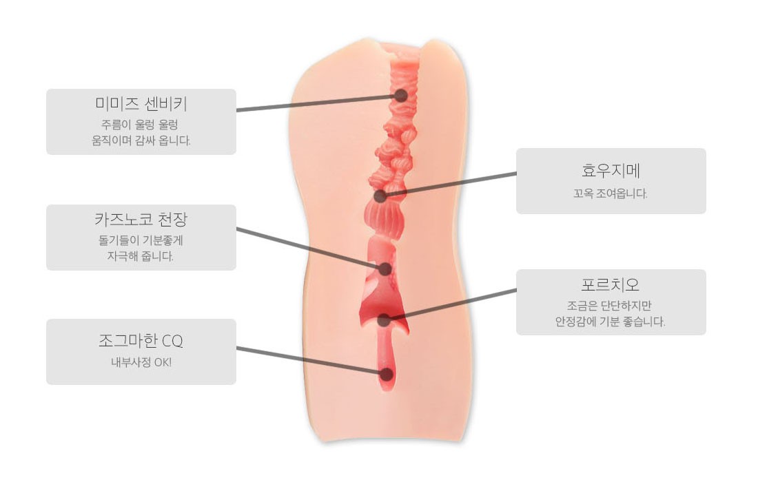 오니짱 다이스키! 참기 힘든 다양한 주름과
돌기로 가득차있다!