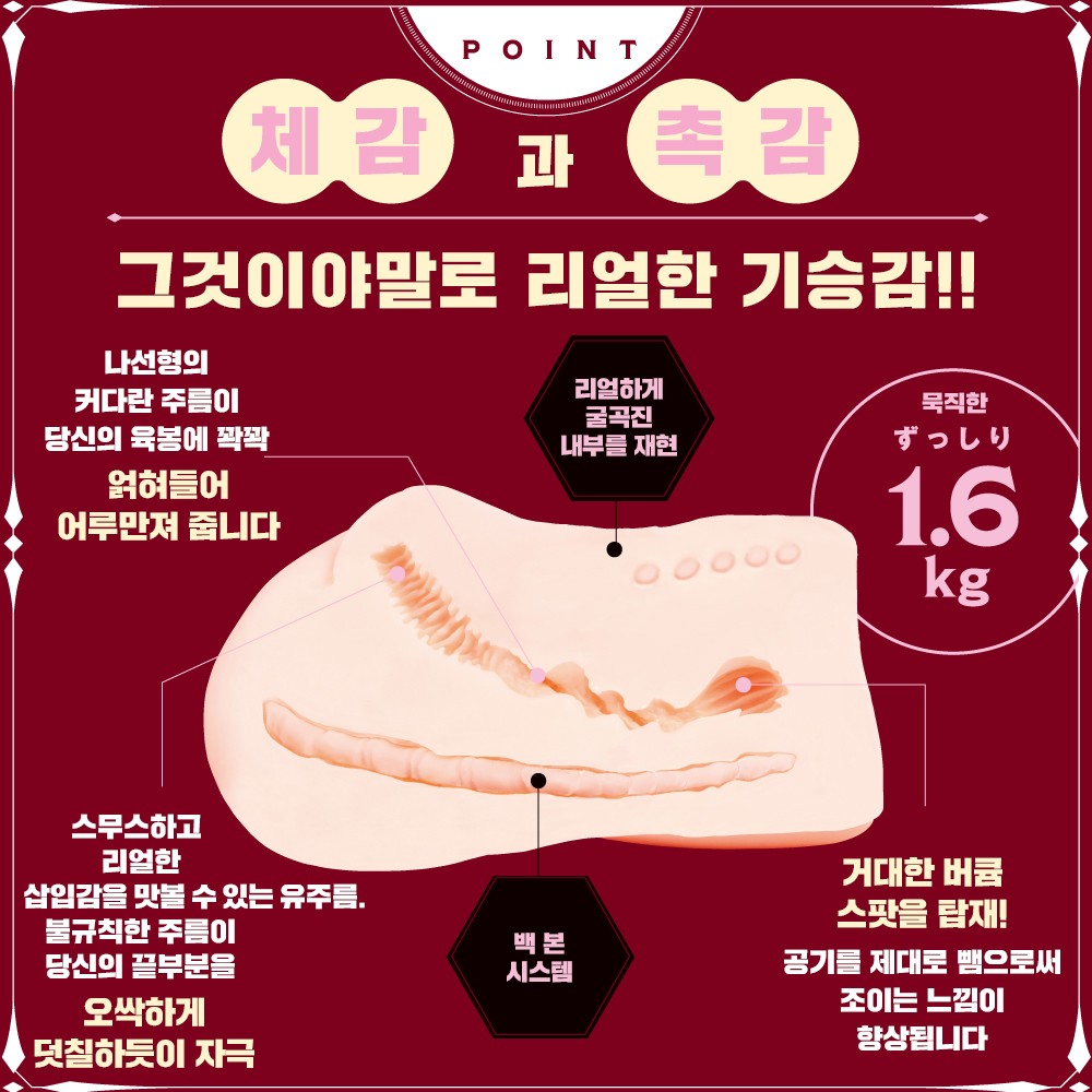 기승 GIRL 설명