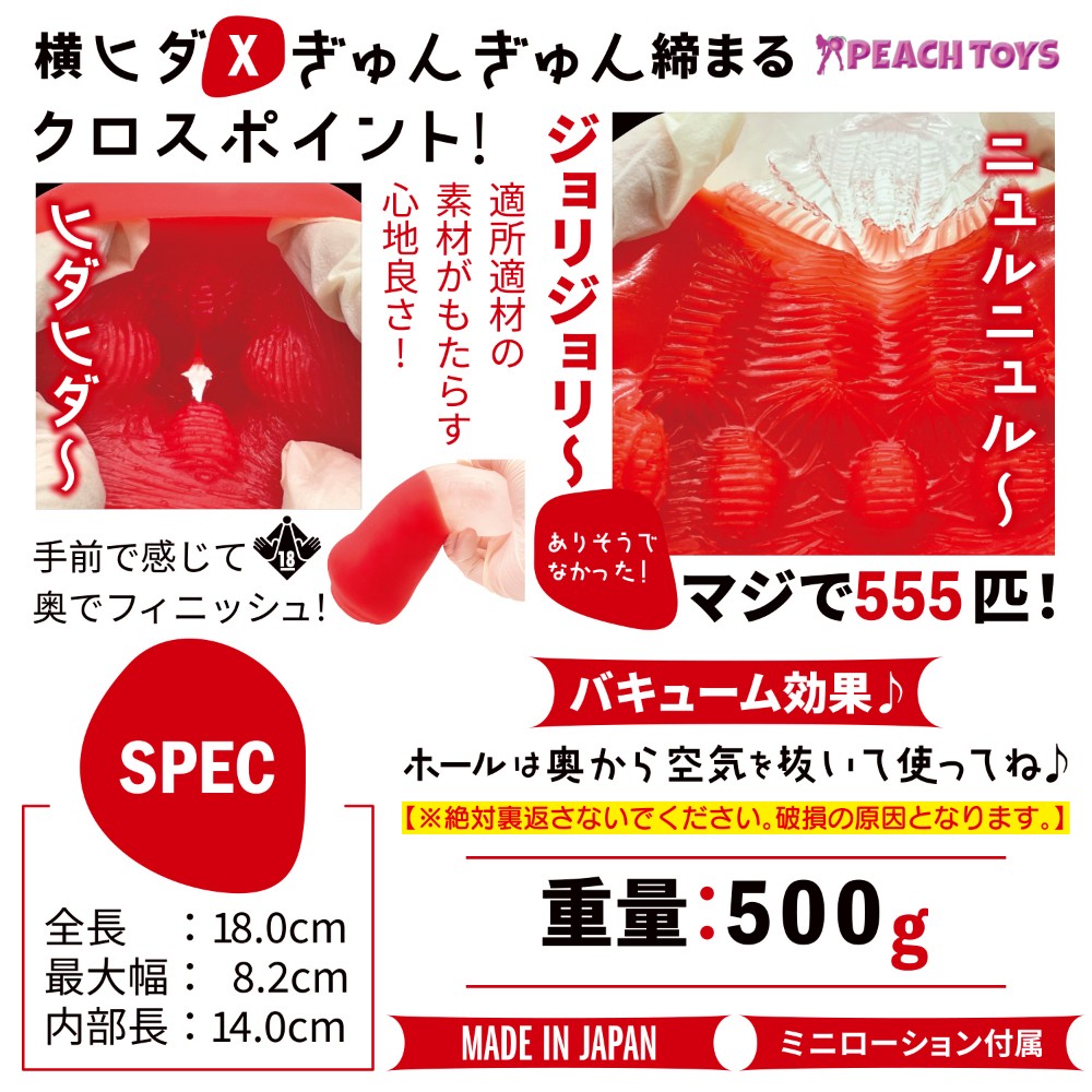 혁명기 지렁이 555 설명