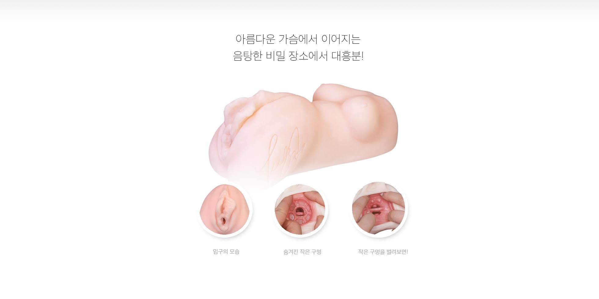 OMOTENASHI 명기 02 타치바나 히나타 설명