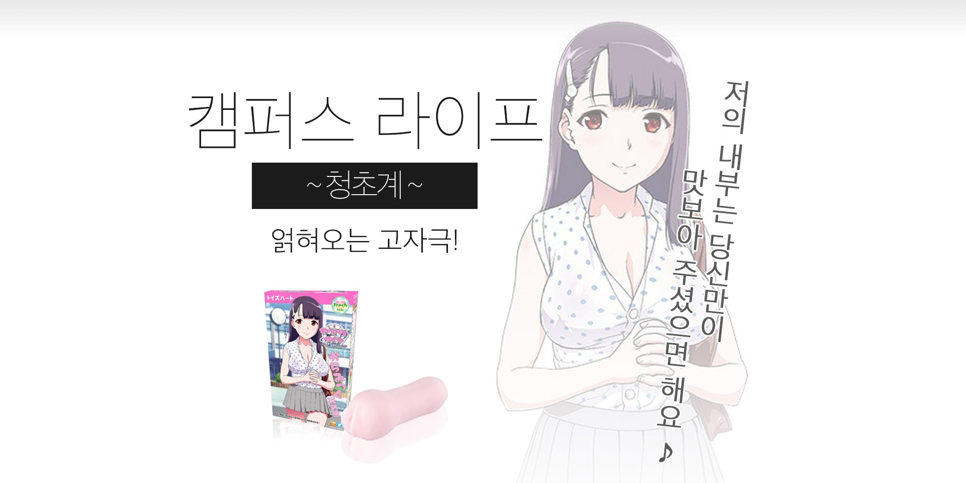 캠퍼스 라이프 청순소녀 설명
