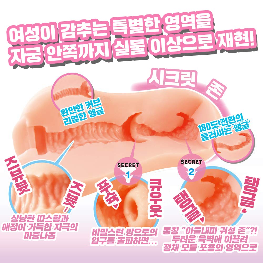 G-19 시크릿 우테루스 설명