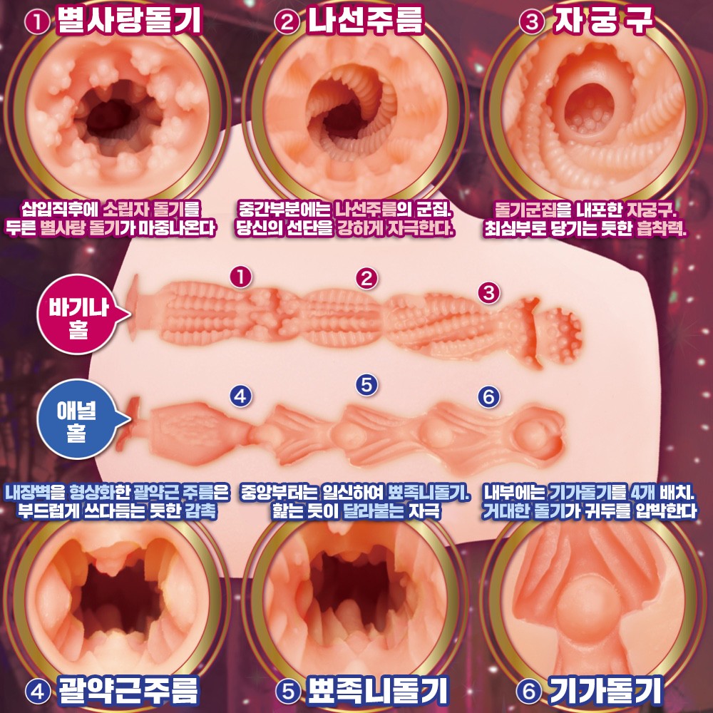 순정가련 서큐버니 설명