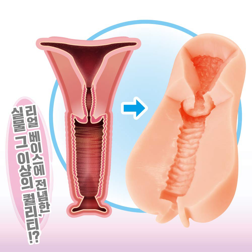 G-19 시크릿 우테루스 설명