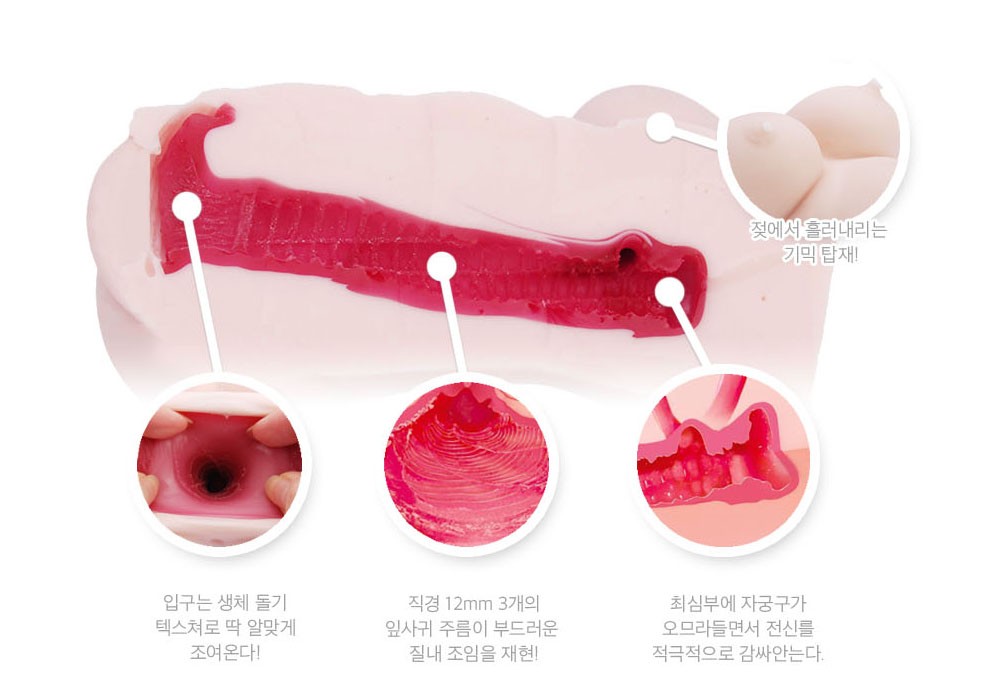 실로 발칙한 가슴바디 평범함을 거부하는 
발칙한 내부구조!