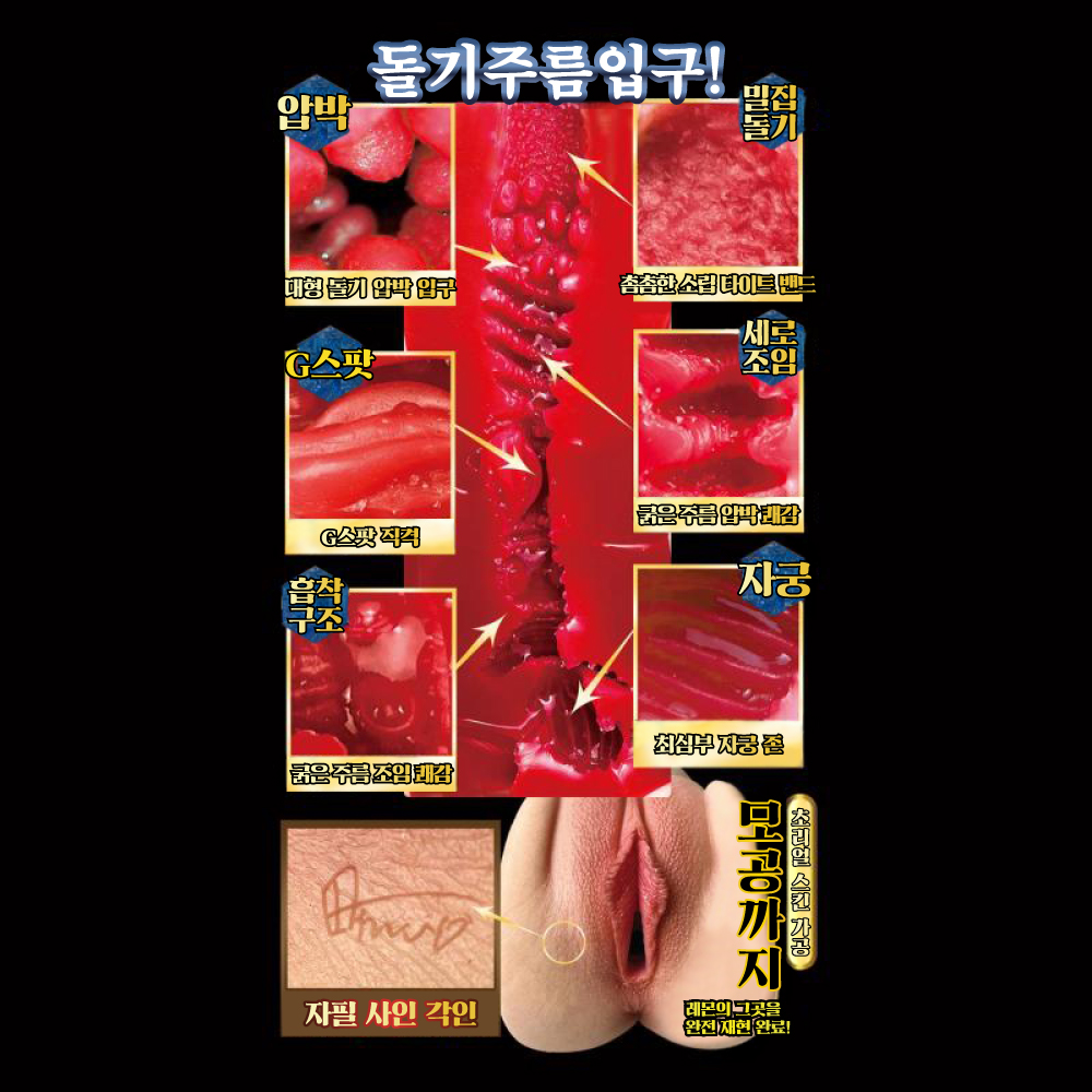 명기창생2 타나카 레몬 설명