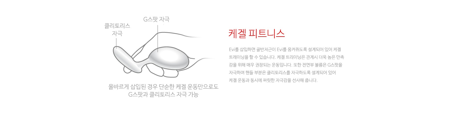 이비 설명