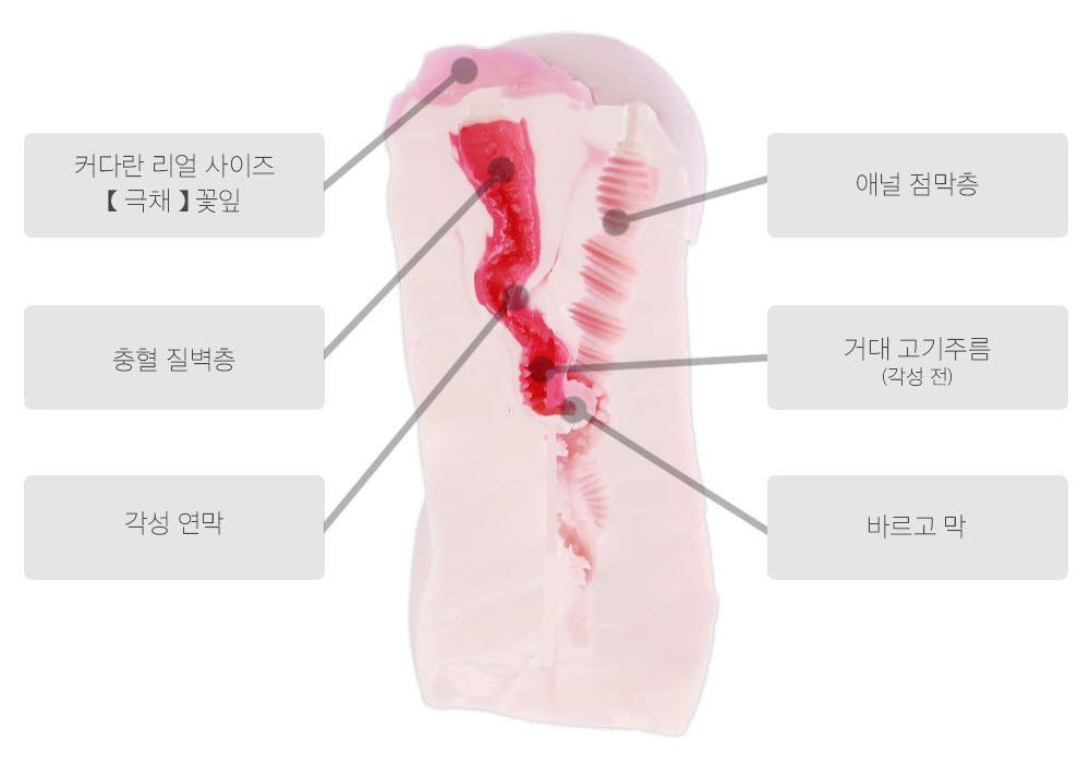 라비앙로즈 서로 다른 느낌의 2개의 
구멍을 즐겨보세요!