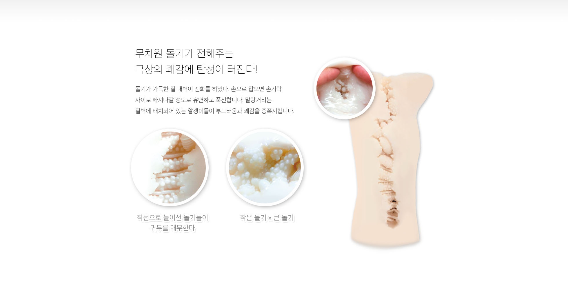 후와치츠 에볼루션 설명