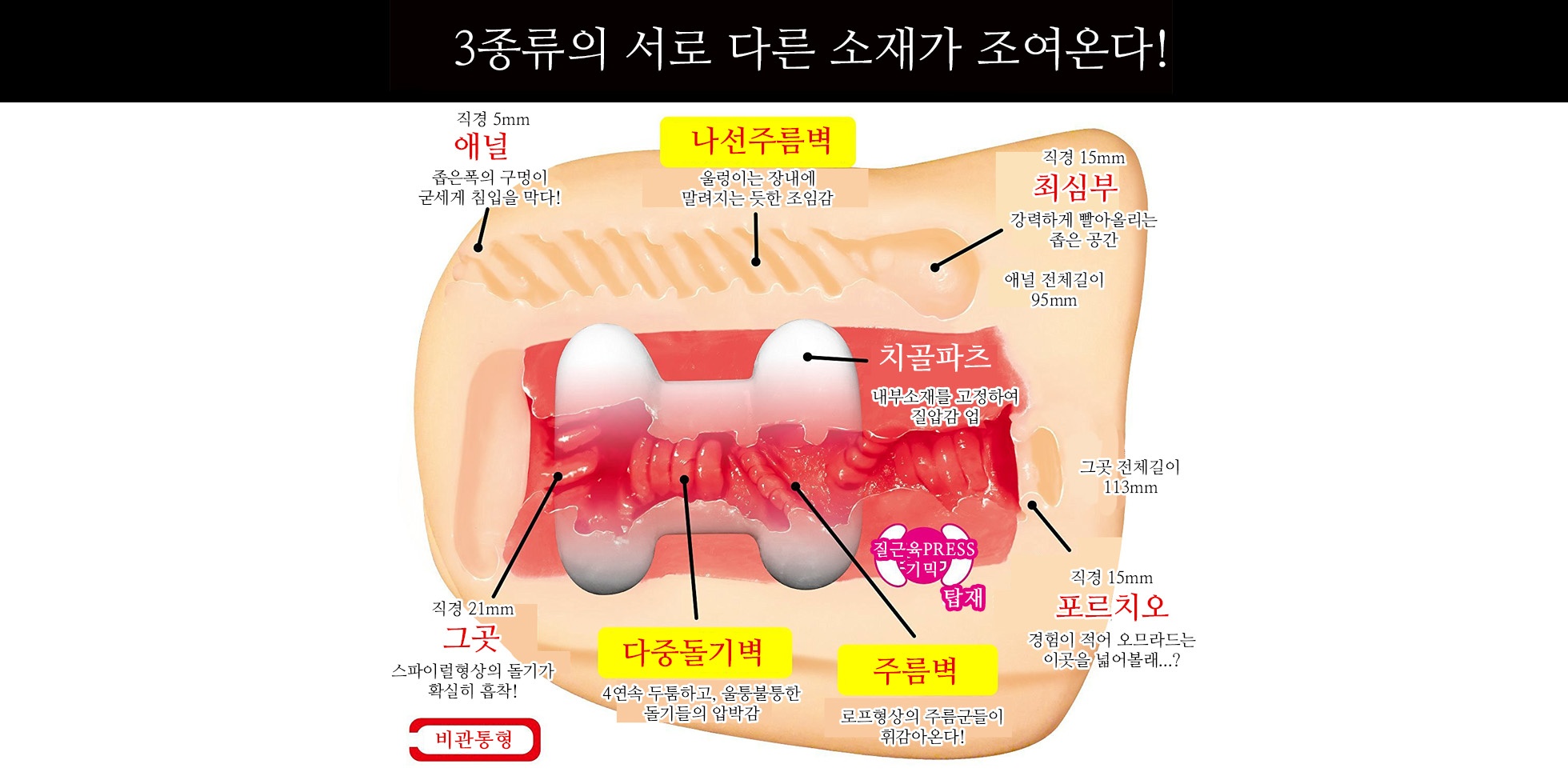 벽엉덩이 설명