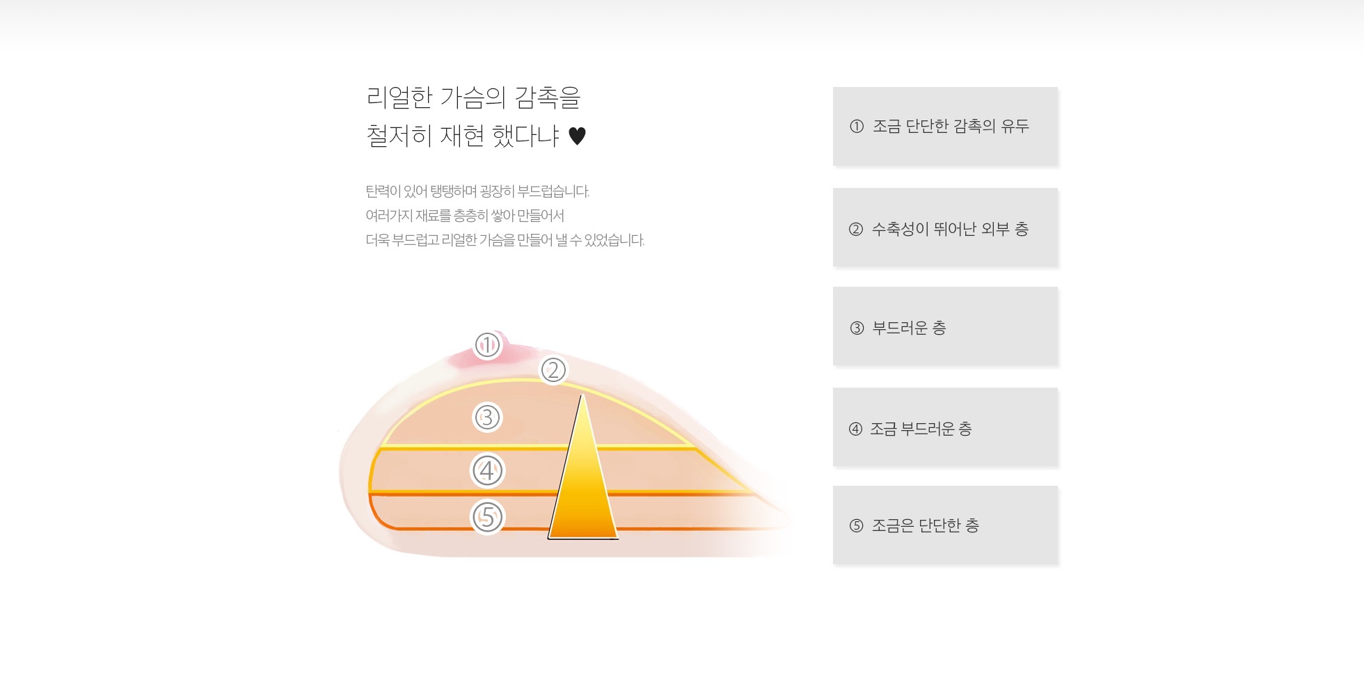 반숙 서큐버스 가슴 설명