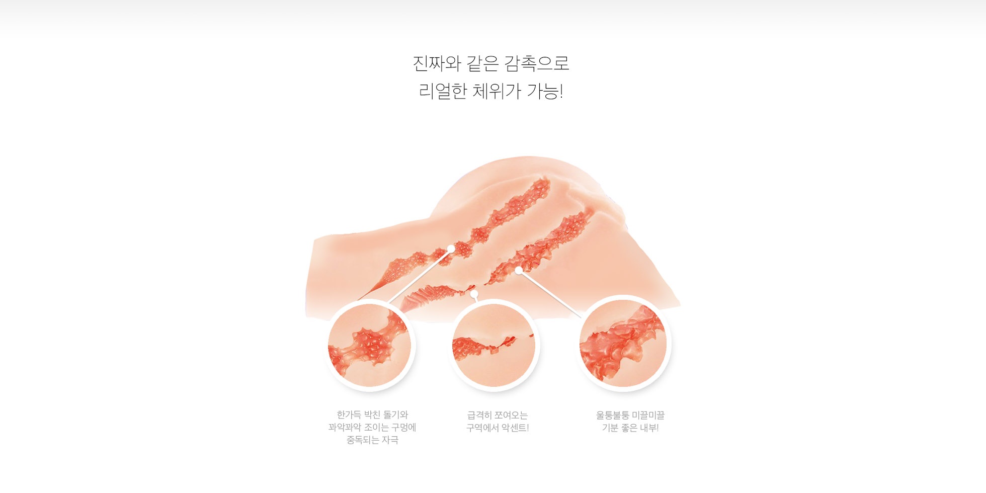 Back! 2500 설명