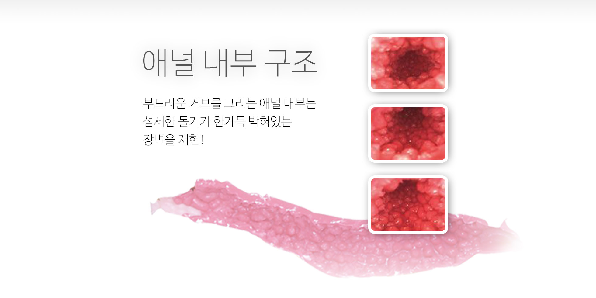 극상생 (꿈같은 쾌감) 설명