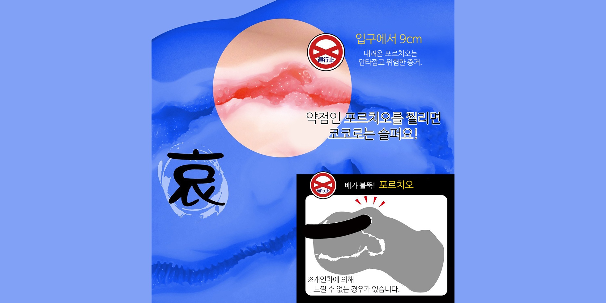 코코로 설명 