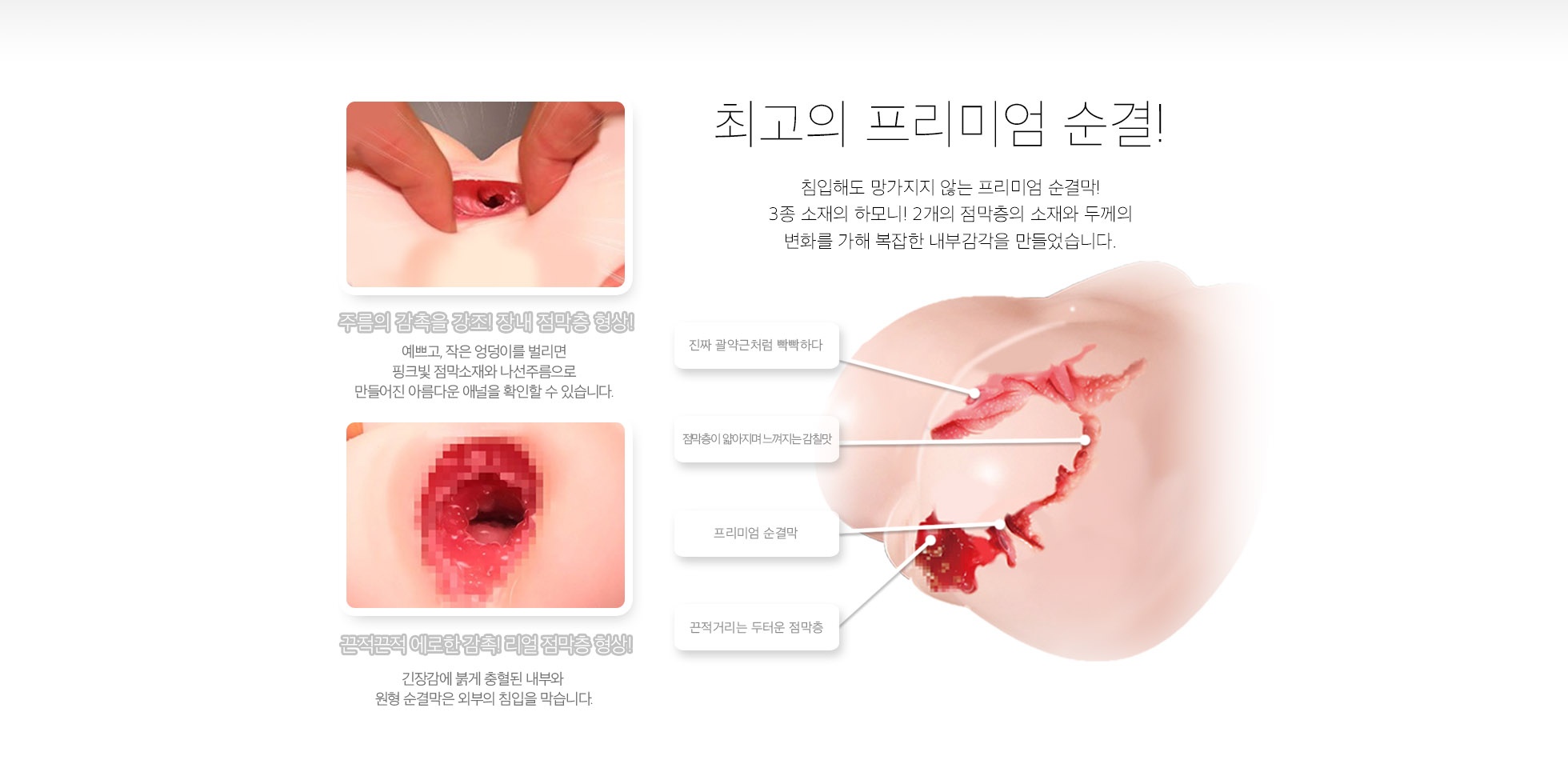 순결 프리미엄 설명