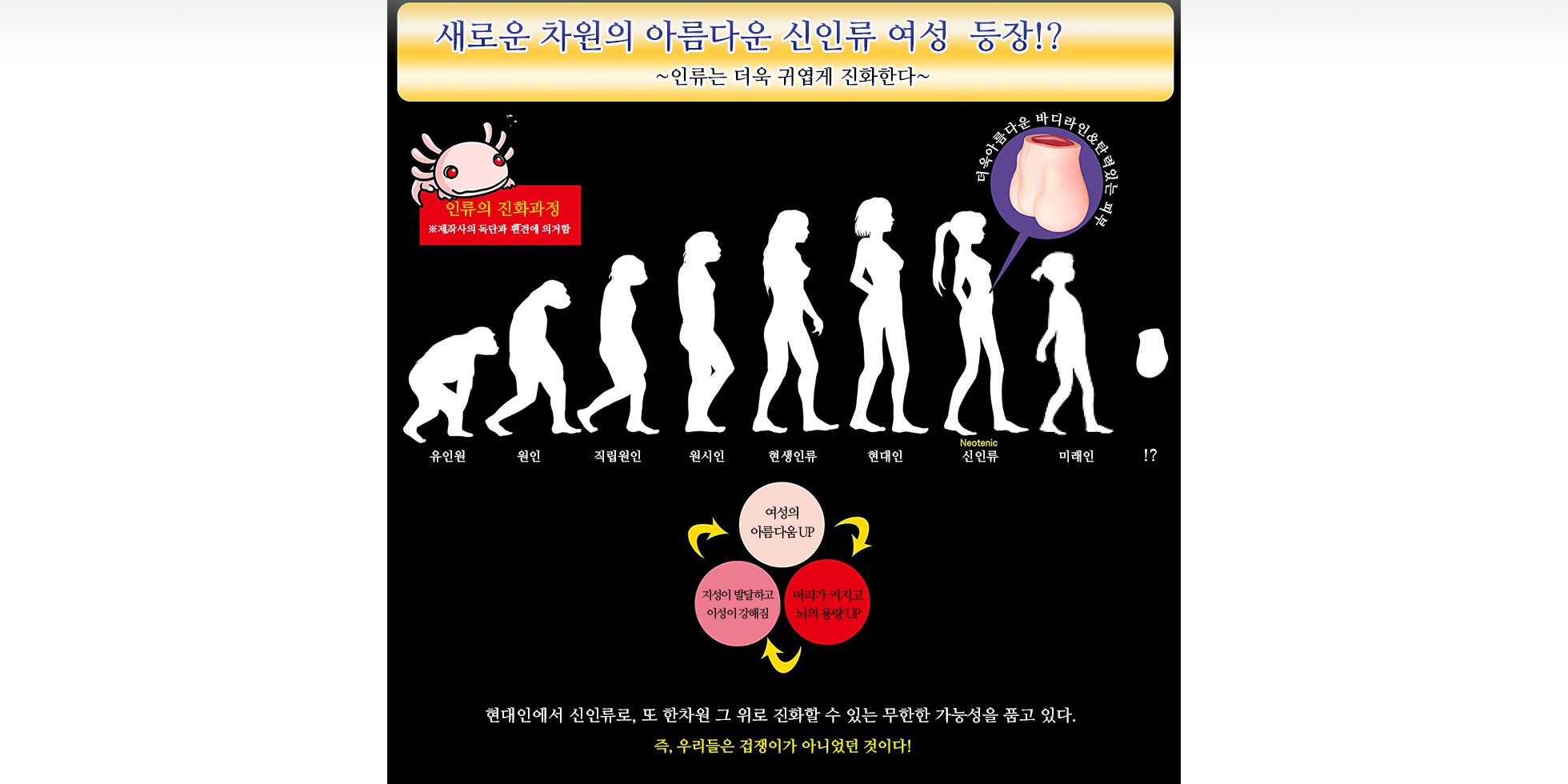 요태성숙 설명