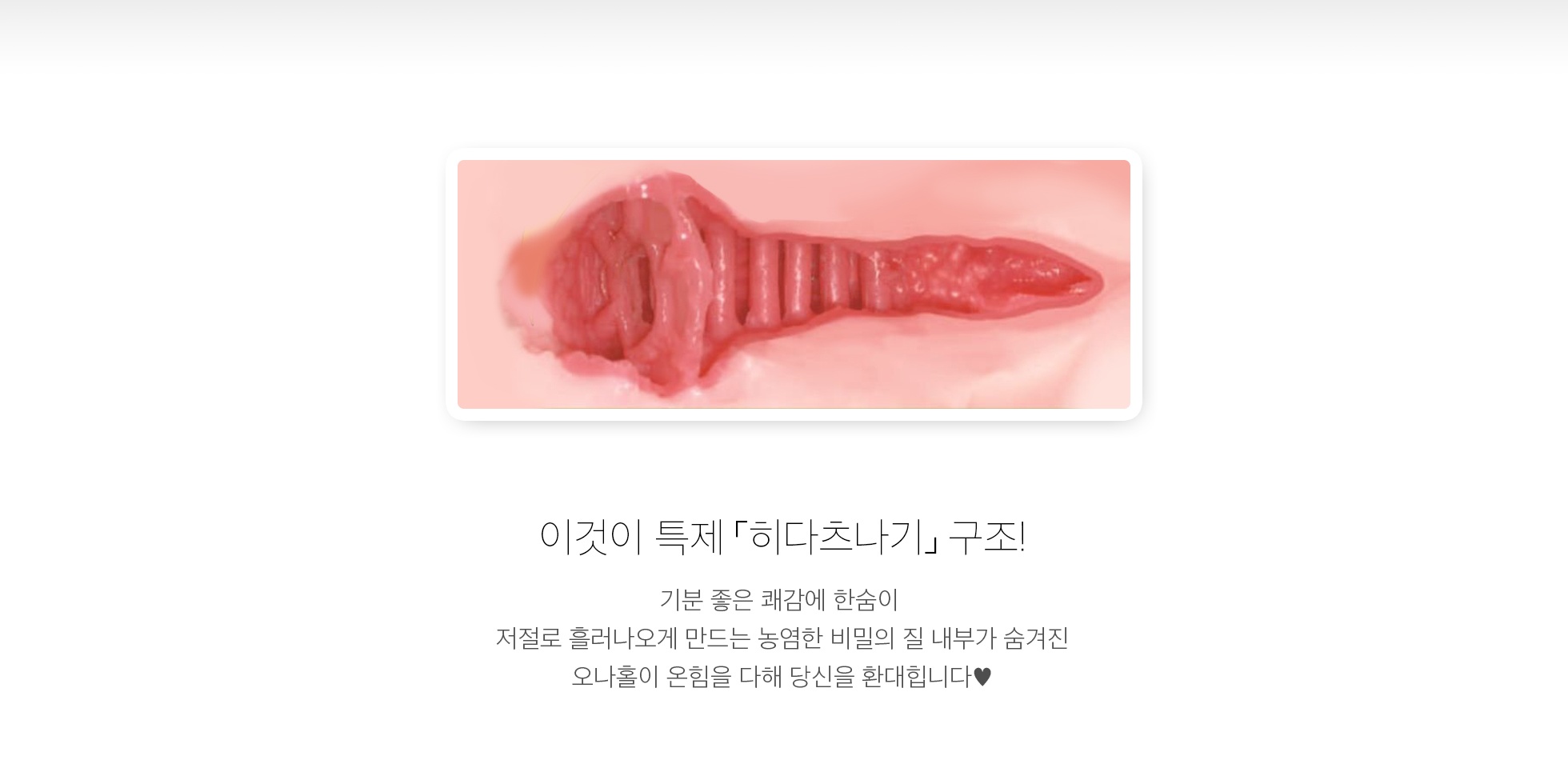 OMOTENASHI 명기 02 타치바나 히나타 설명